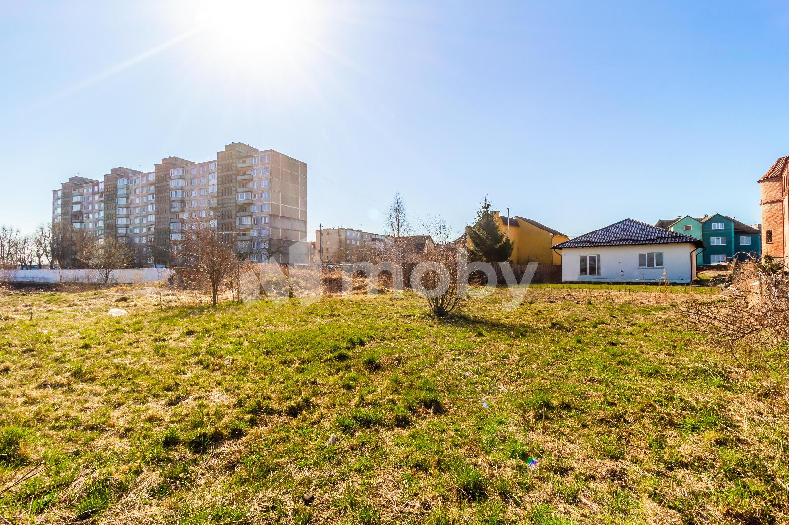 Фото: a25259bb-08df-4e23-8dbc-527b7563d8c6.jpg