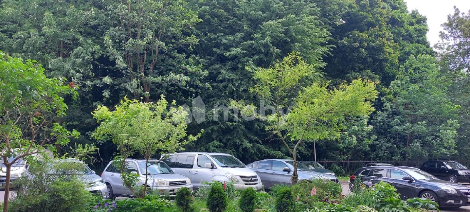 Фото: a313898f-f27e-4125-8f50-53850327644d.jpg