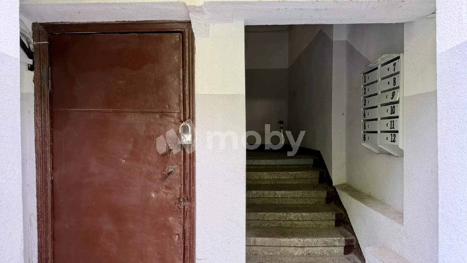 Фото: a40f2c78-7789-4a09-be5e-4ef8b2892731.png
