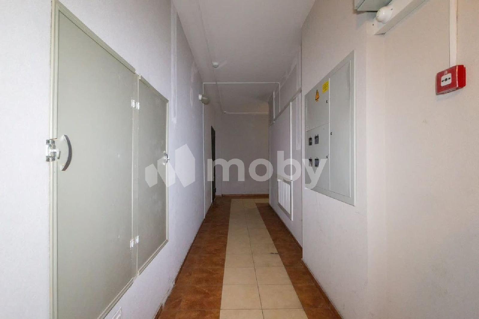 Фото: a47fa5f0-a6a2-482f-b186-db62ff53afa4.jpg