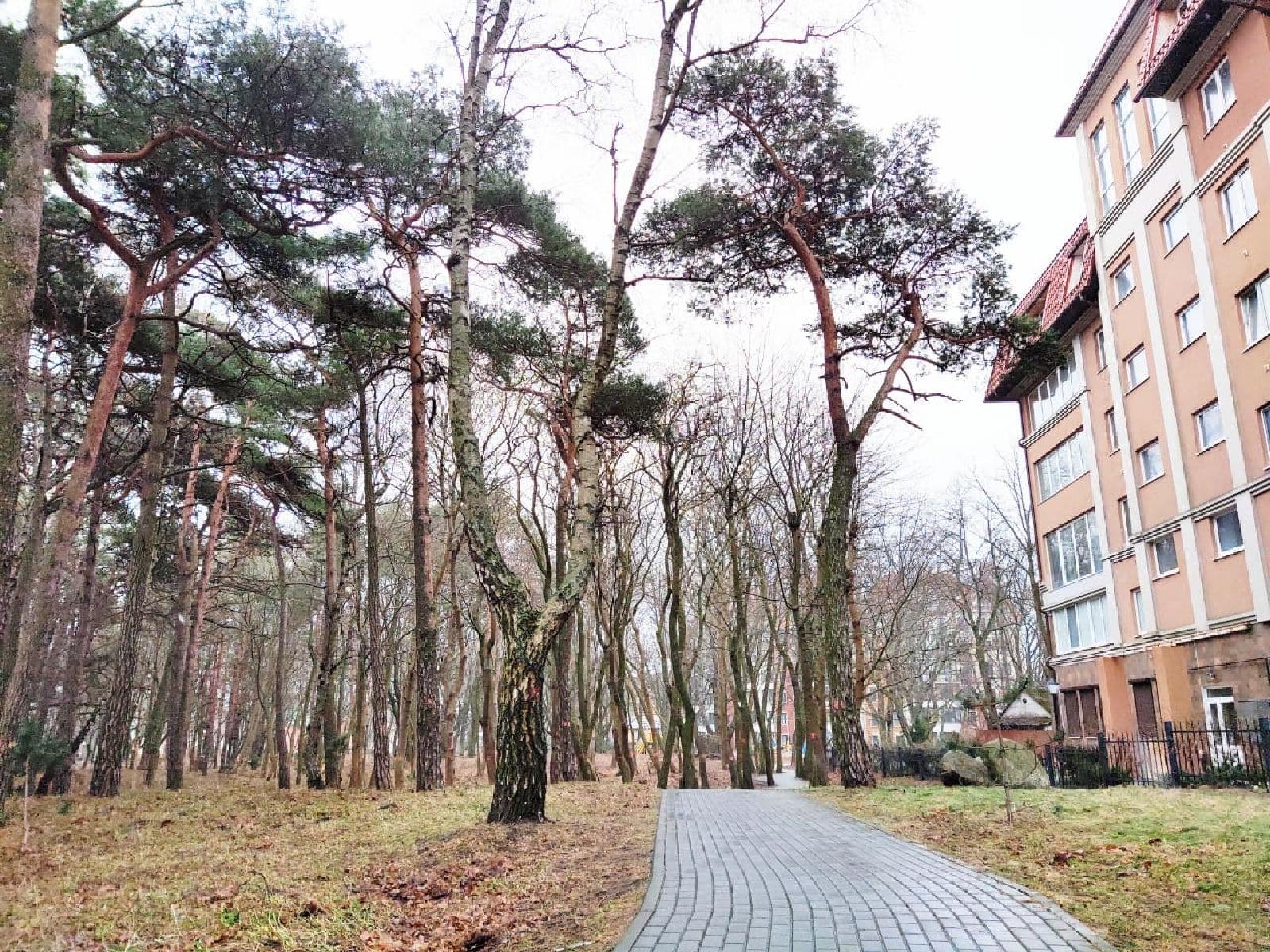 Фото: a4a832fb-e8be-44a0-af1d-81d823b8ddd5.jpg