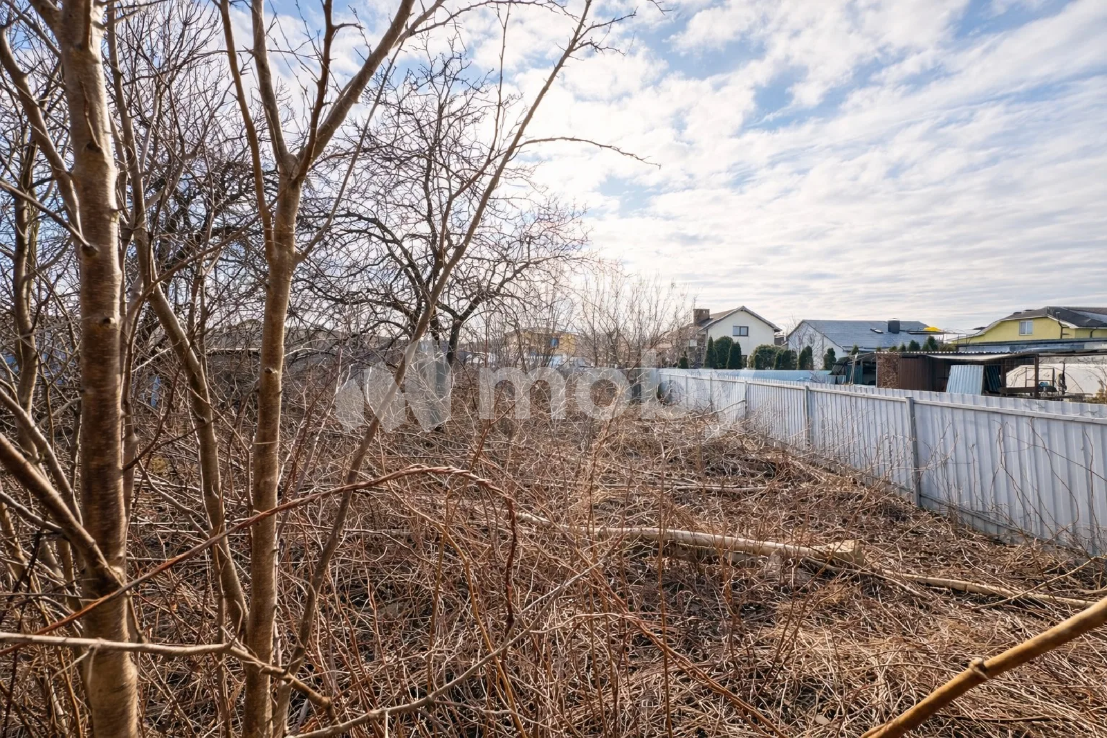 Фото: a4dad033-efc3-4b8c-b74c-e2e38d8ddc8a.png