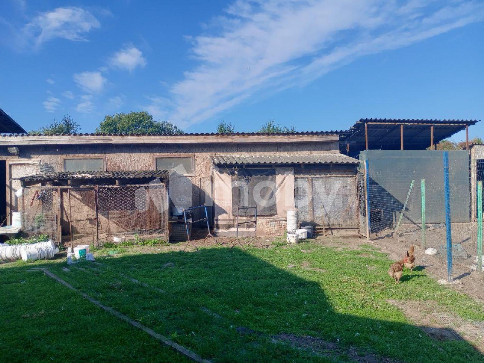 Фото: a5e3009d-d2b6-4f42-b755-d53e3619a39a.jpg