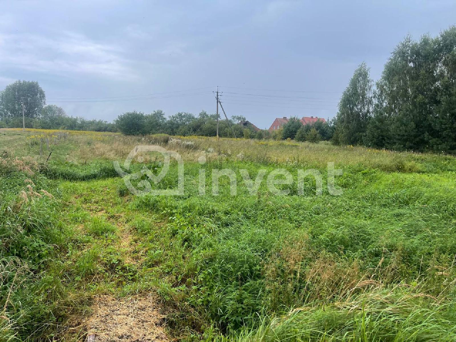 Фото: a645a65a-a007-4aaa-bc7b-fe10063f6c99.jpeg