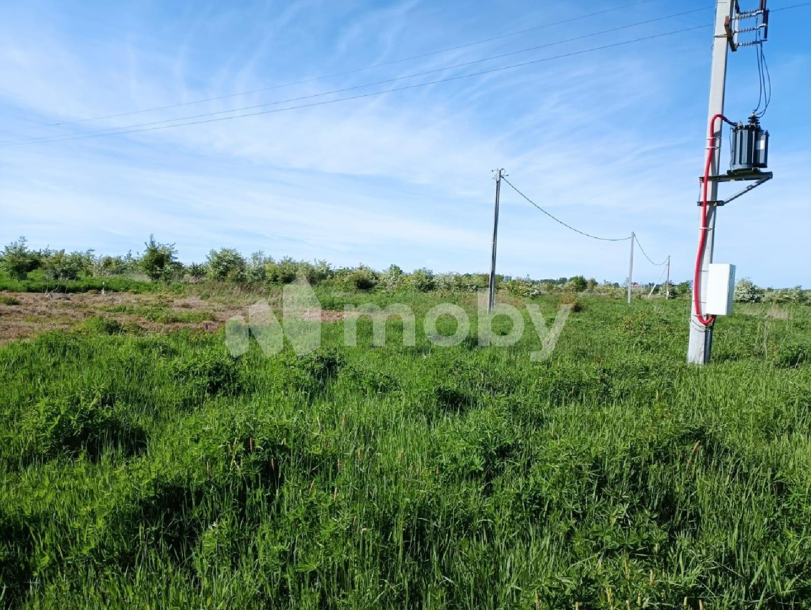 Фото: a6b8ca9b-b7cb-42ed-96b5-759651fbdba2.jpeg