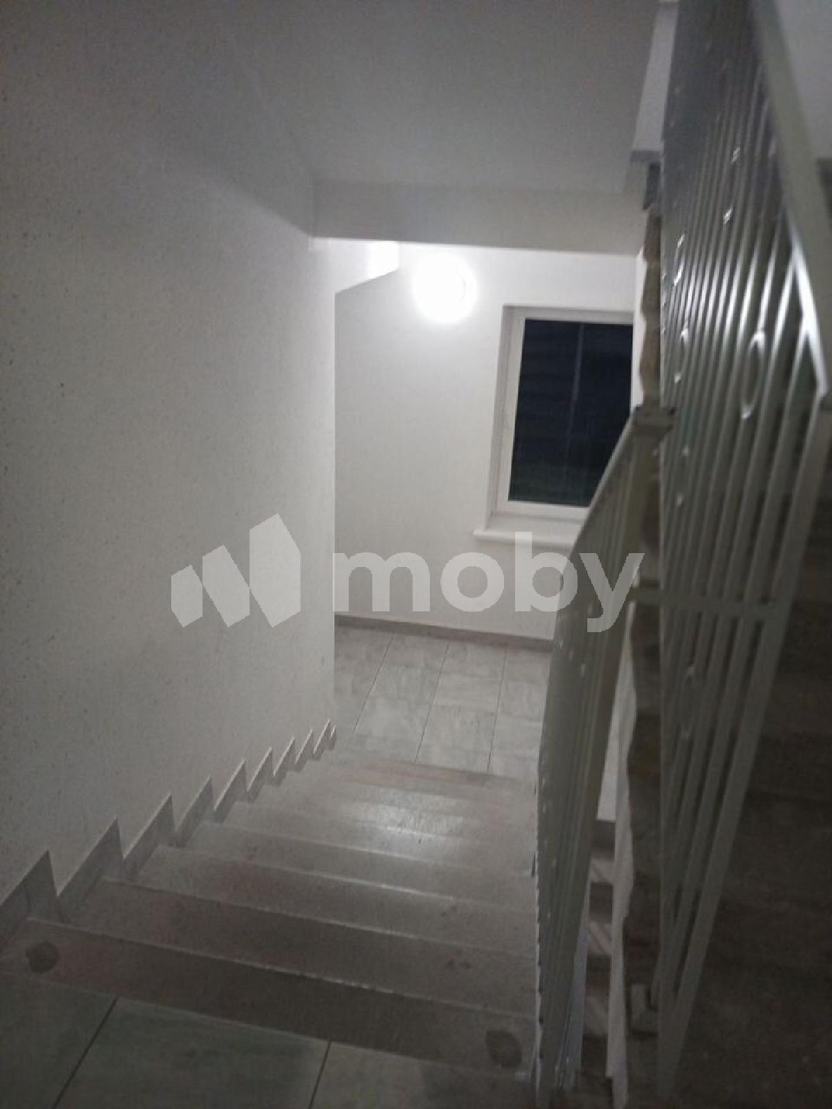 Фото: a6e63f6e-d847-4246-9c94-69bc197f1541.jpeg