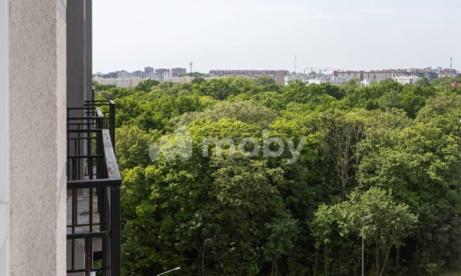 Фото: a7d560e7-c894-441f-b4bd-28c742c759d3.jpg