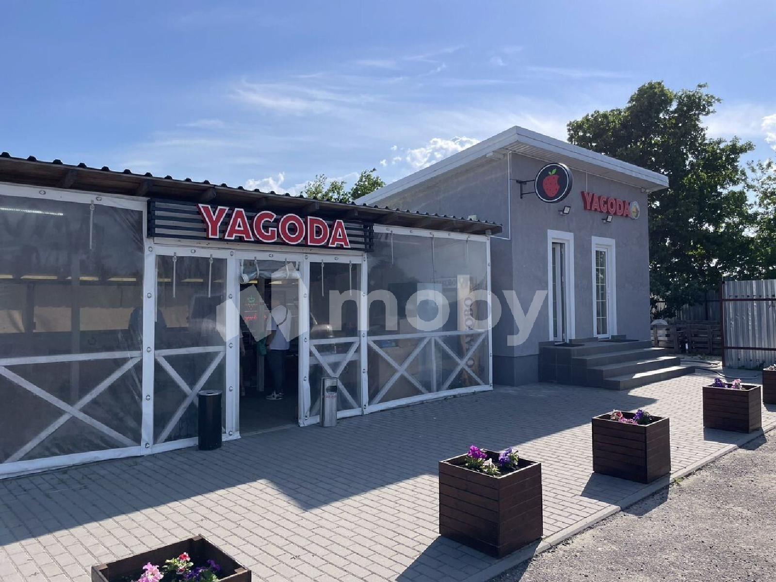 Фото: a7dd14f4-a5ce-421e-8867-03a7e8561113.jpg