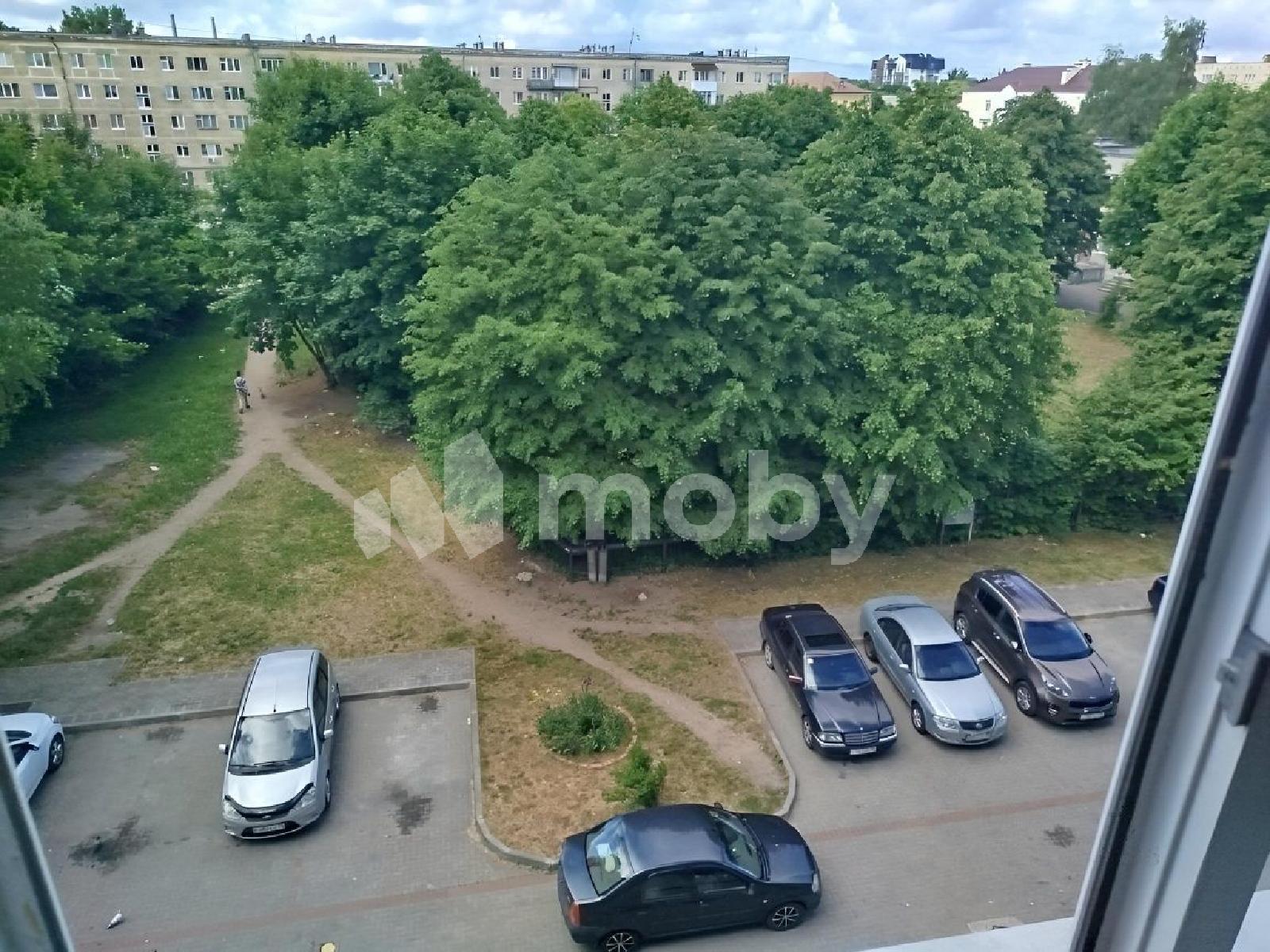 Фото: a893e705-ef35-4c01-a61e-c976b7b5aad9.jpg