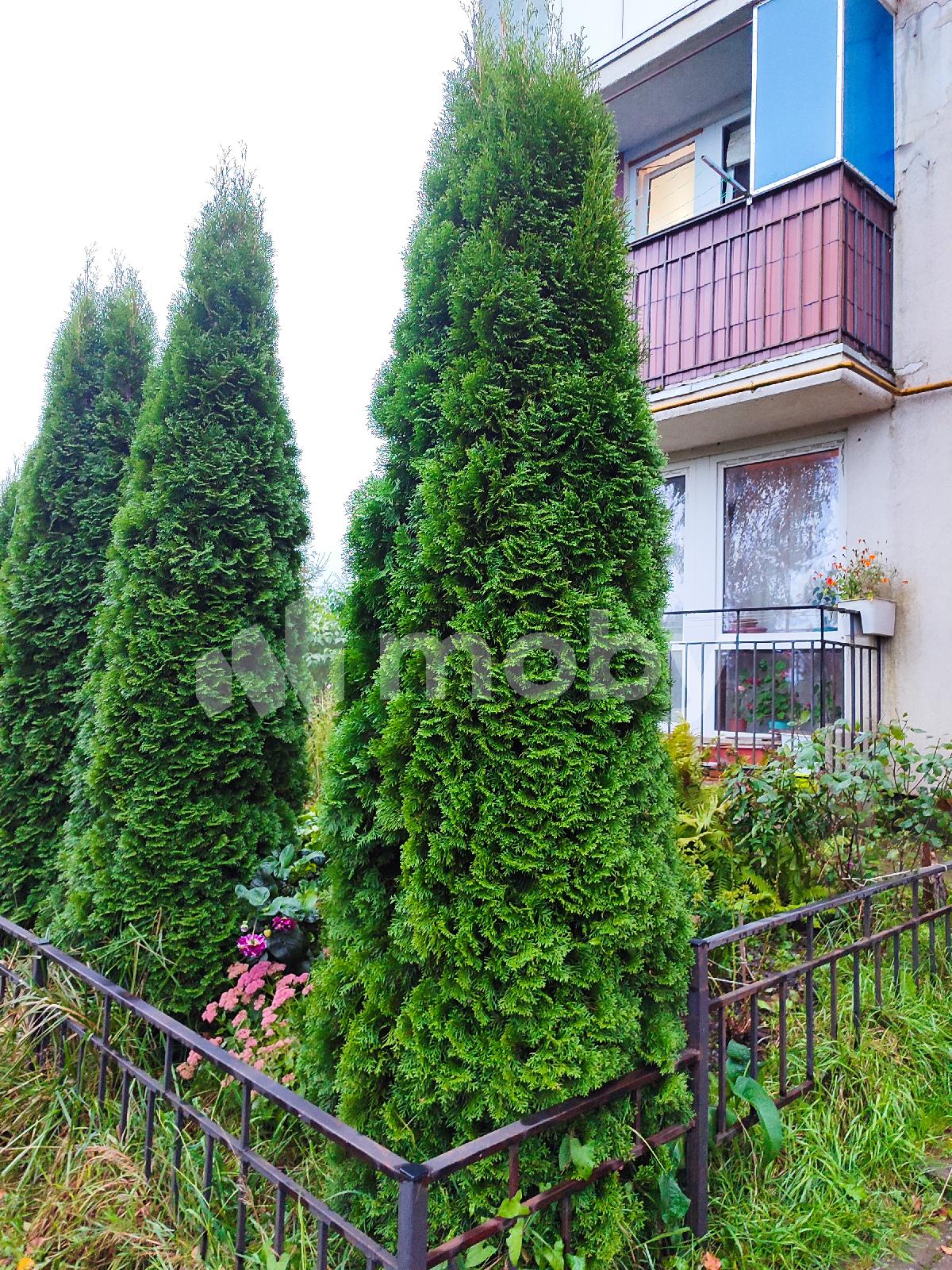 Фото: a8d96fee-485c-44a6-8d48-c1ea82cb9cbb.jpg