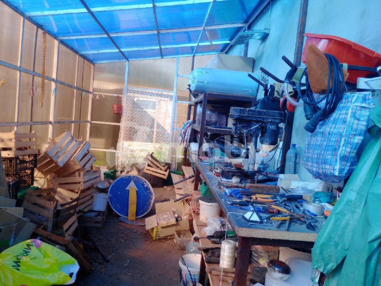 Фото: a9513841-2d54-4197-9895-dcd518e9f7ac.jpg