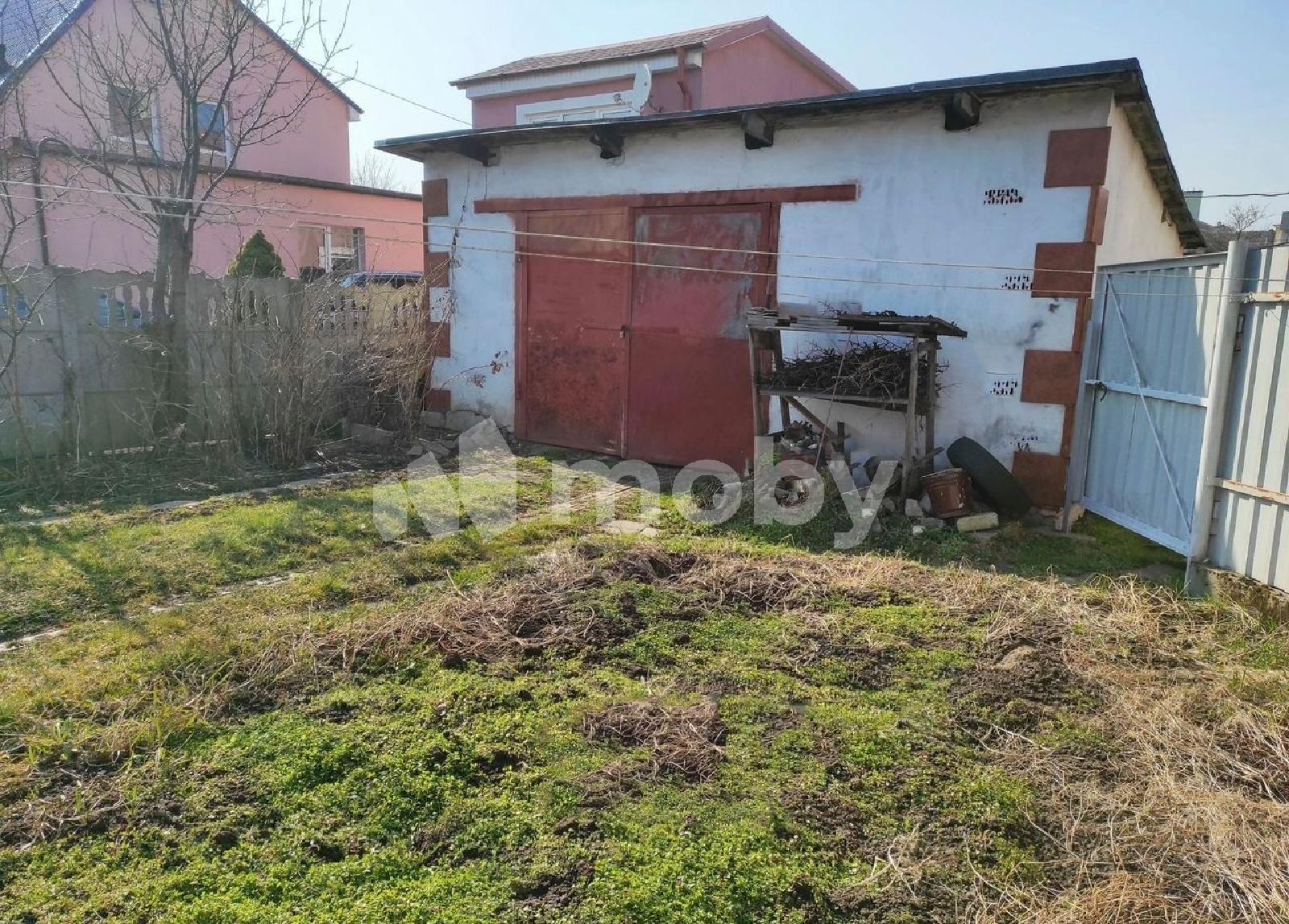 Фото: aa53f745-d5cf-4879-adff-4c6030bbc796.jpg