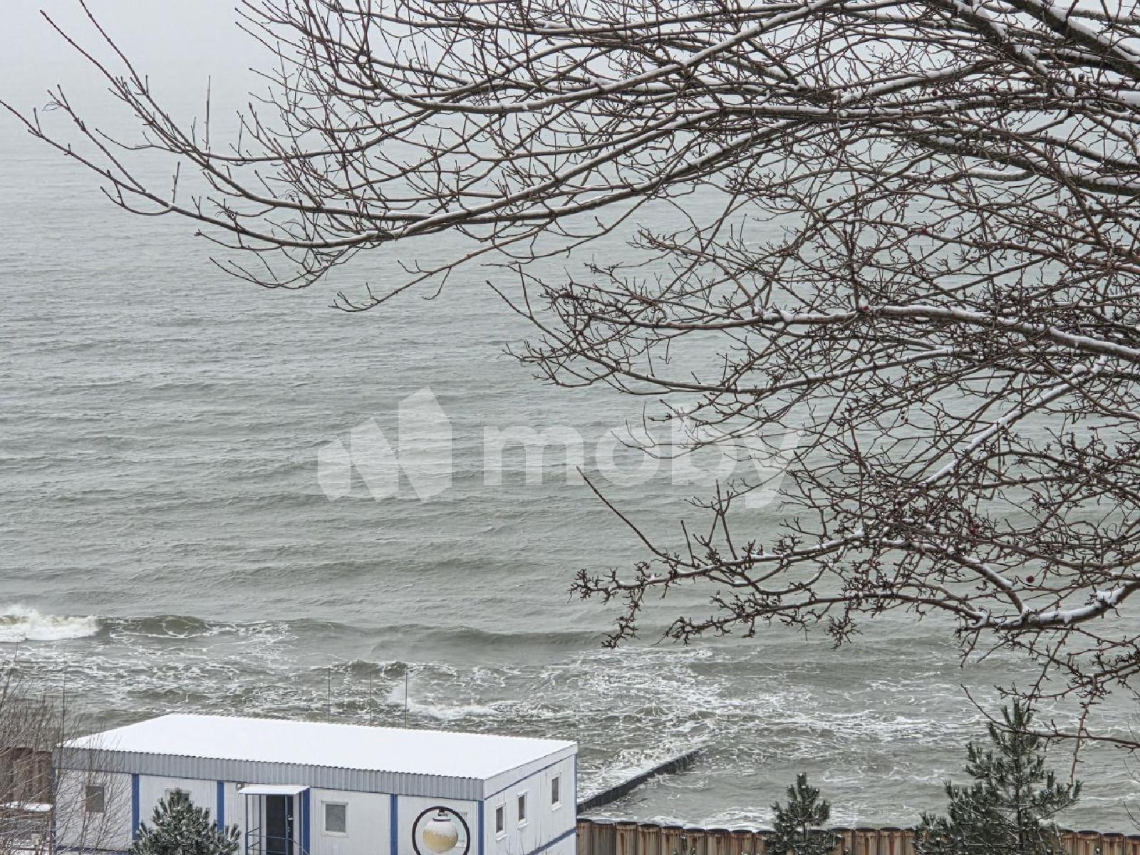 Фото: aa58e119-dcdc-42e3-9ee6-137b48368465.jpg