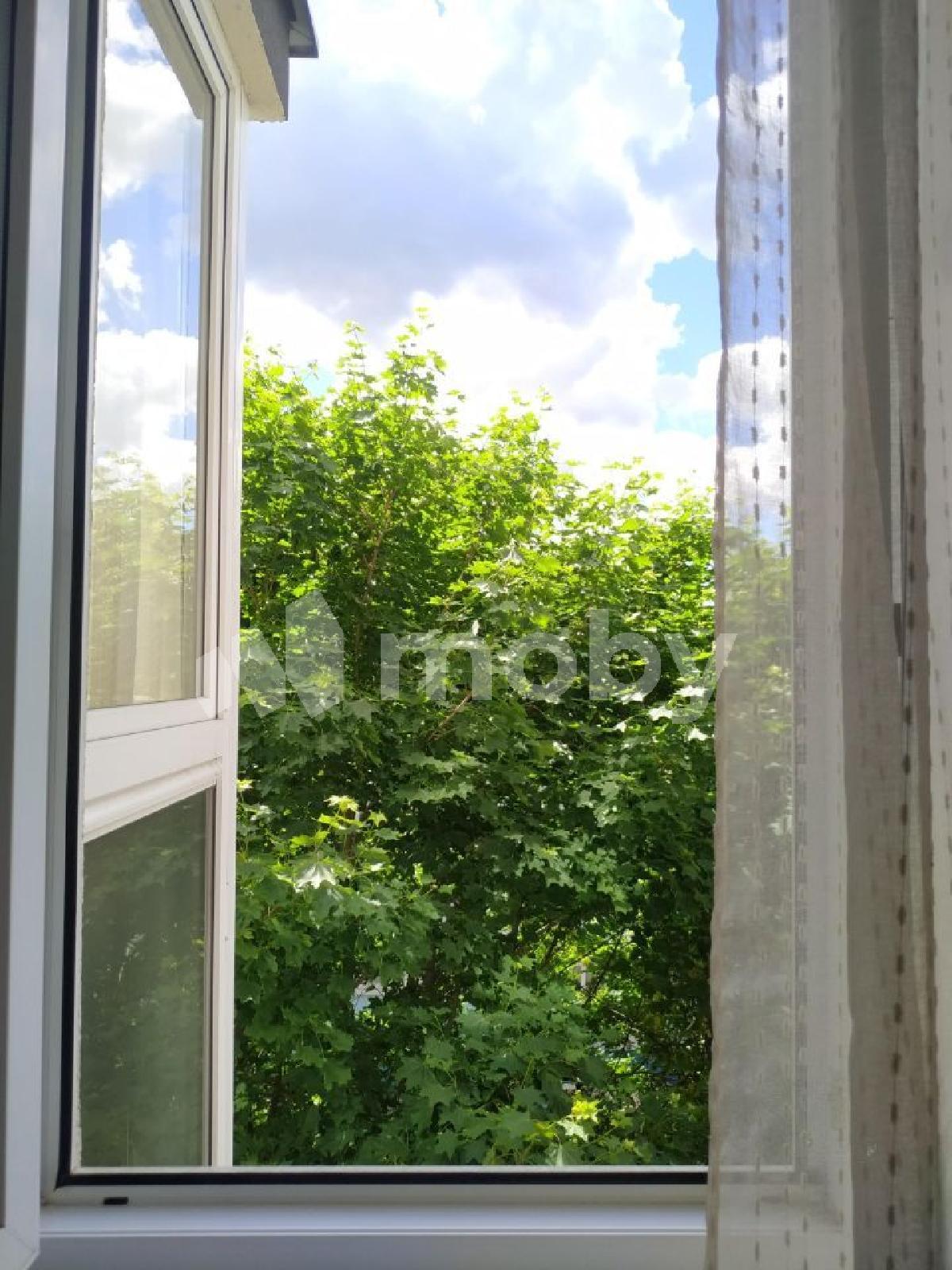 Фото: aadb9c87-973c-4c83-86a3-b01532edf06e.jpg