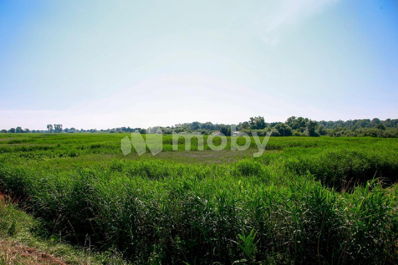 Фото: ab9bf9a6-4b94-409b-8207-5939edf640b4.jpg