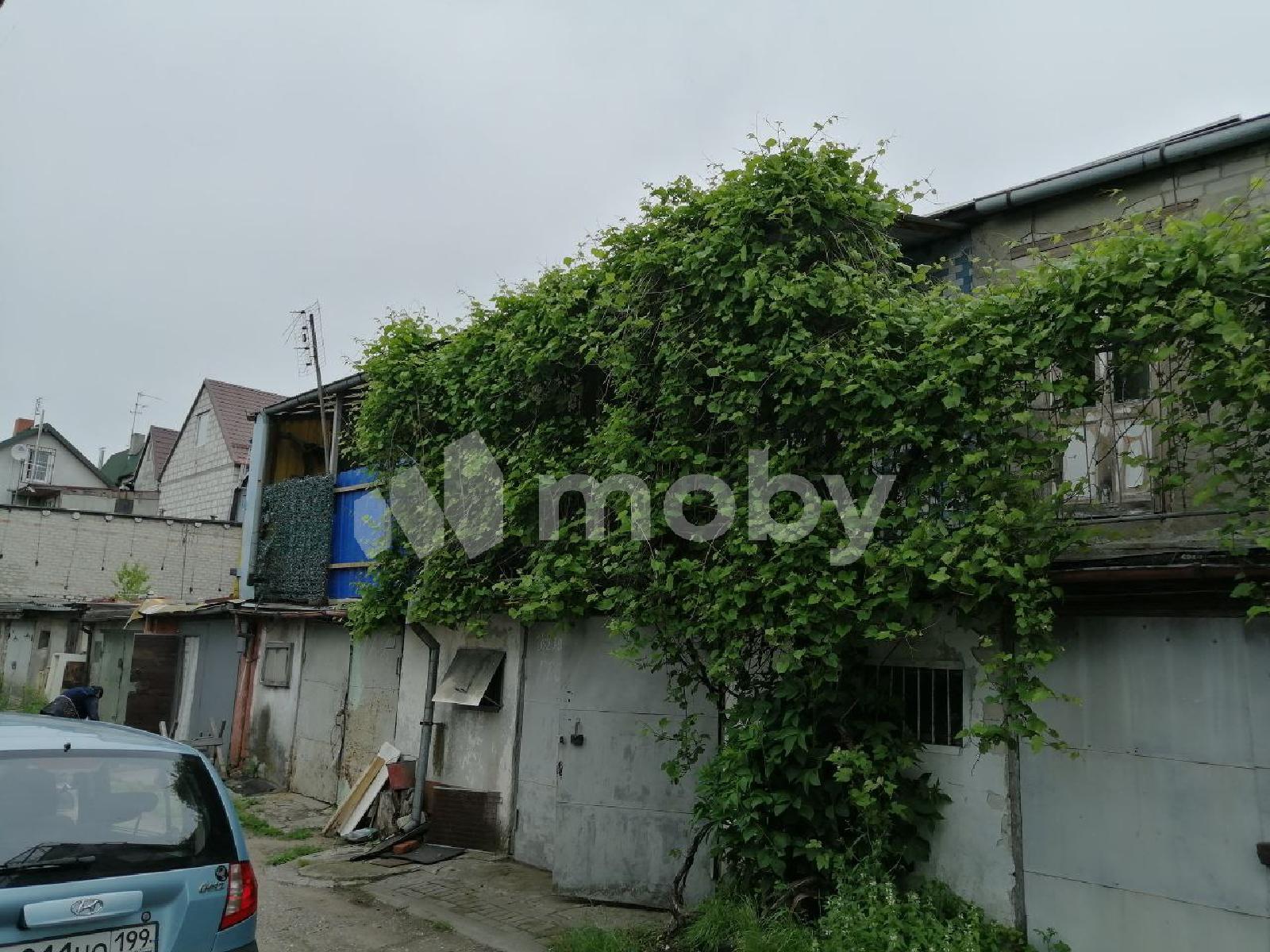 Фото: abc3a80c-c250-451a-a4df-30bc28967793.jpg