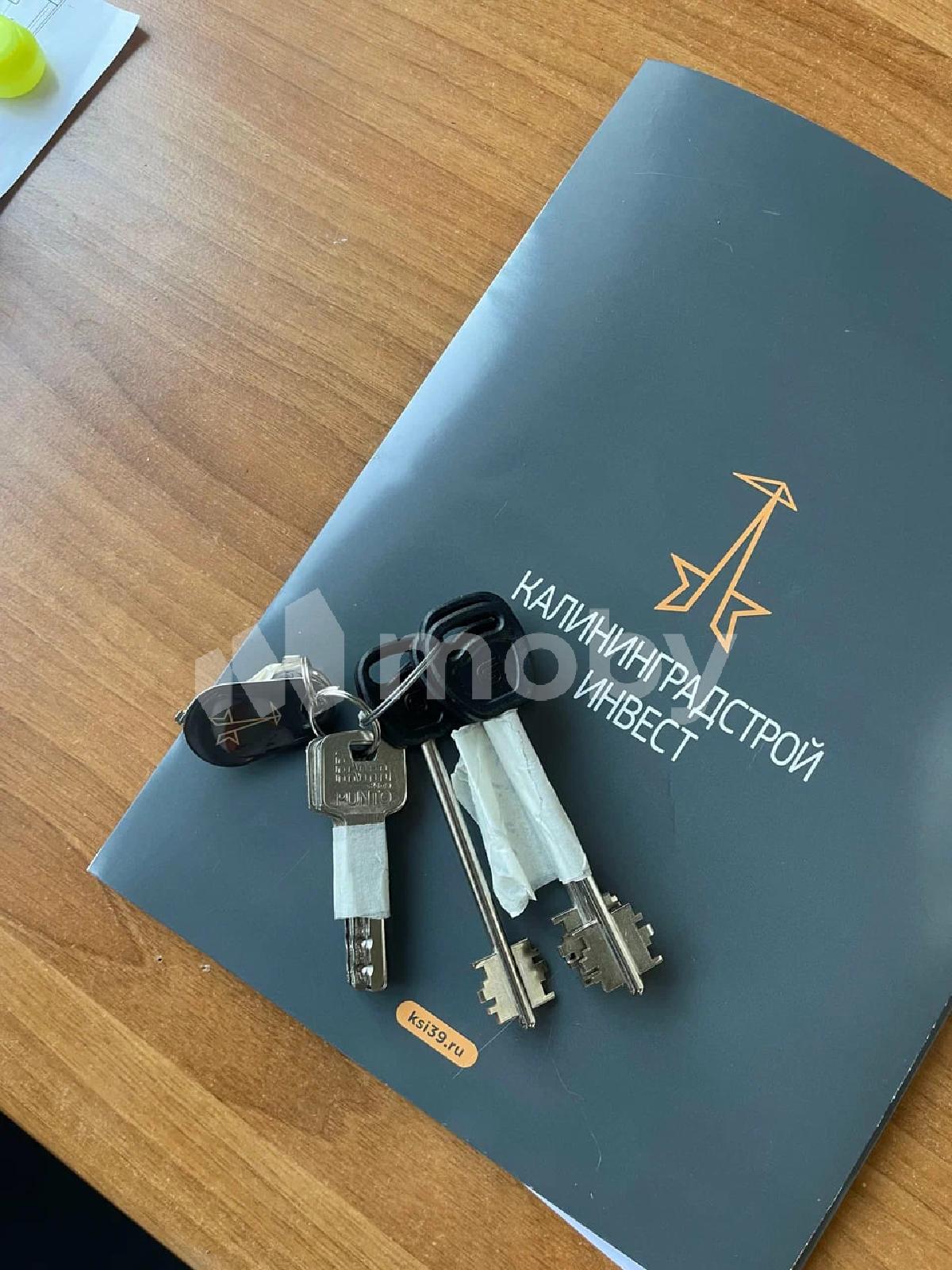 Фото: ad417ce6-40ca-4491-941b-12234f686870.jpg