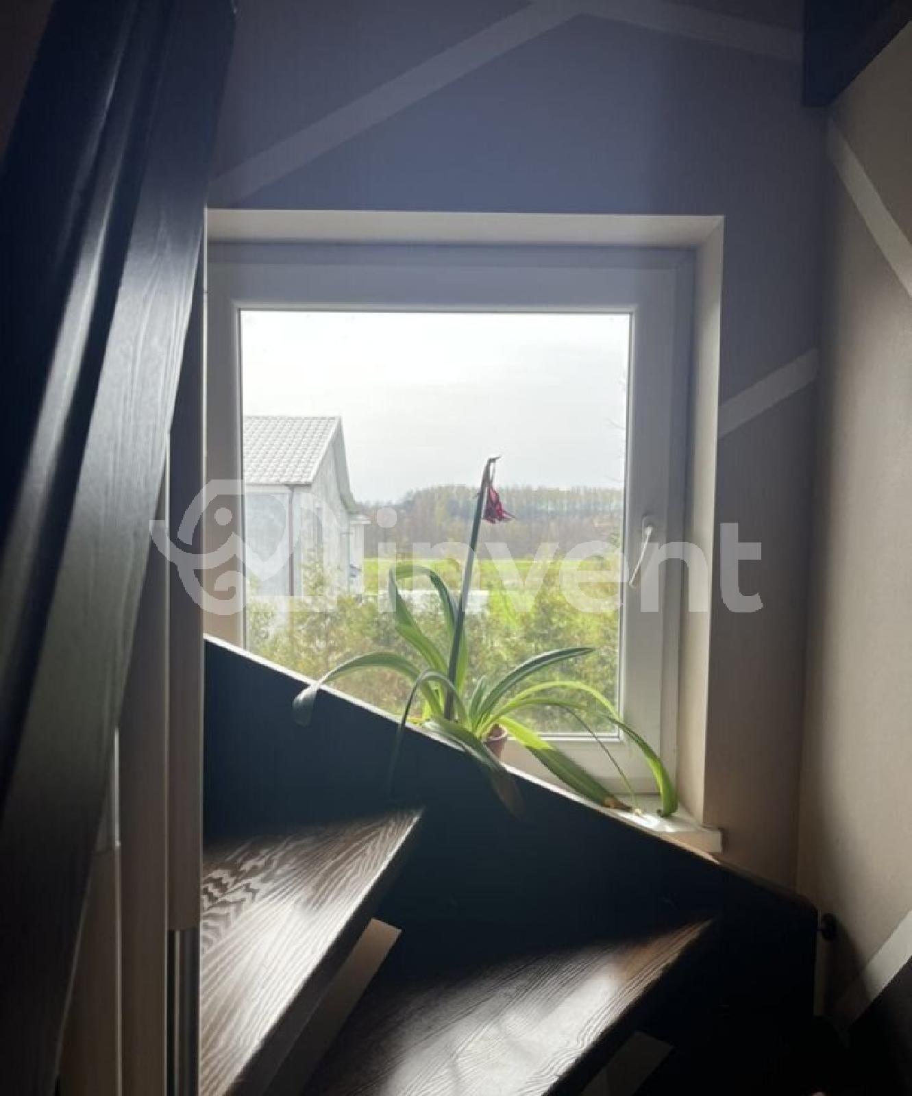 Фото: ad491215-162a-4df7-8d3d-0104cdb2dbbf.jpg