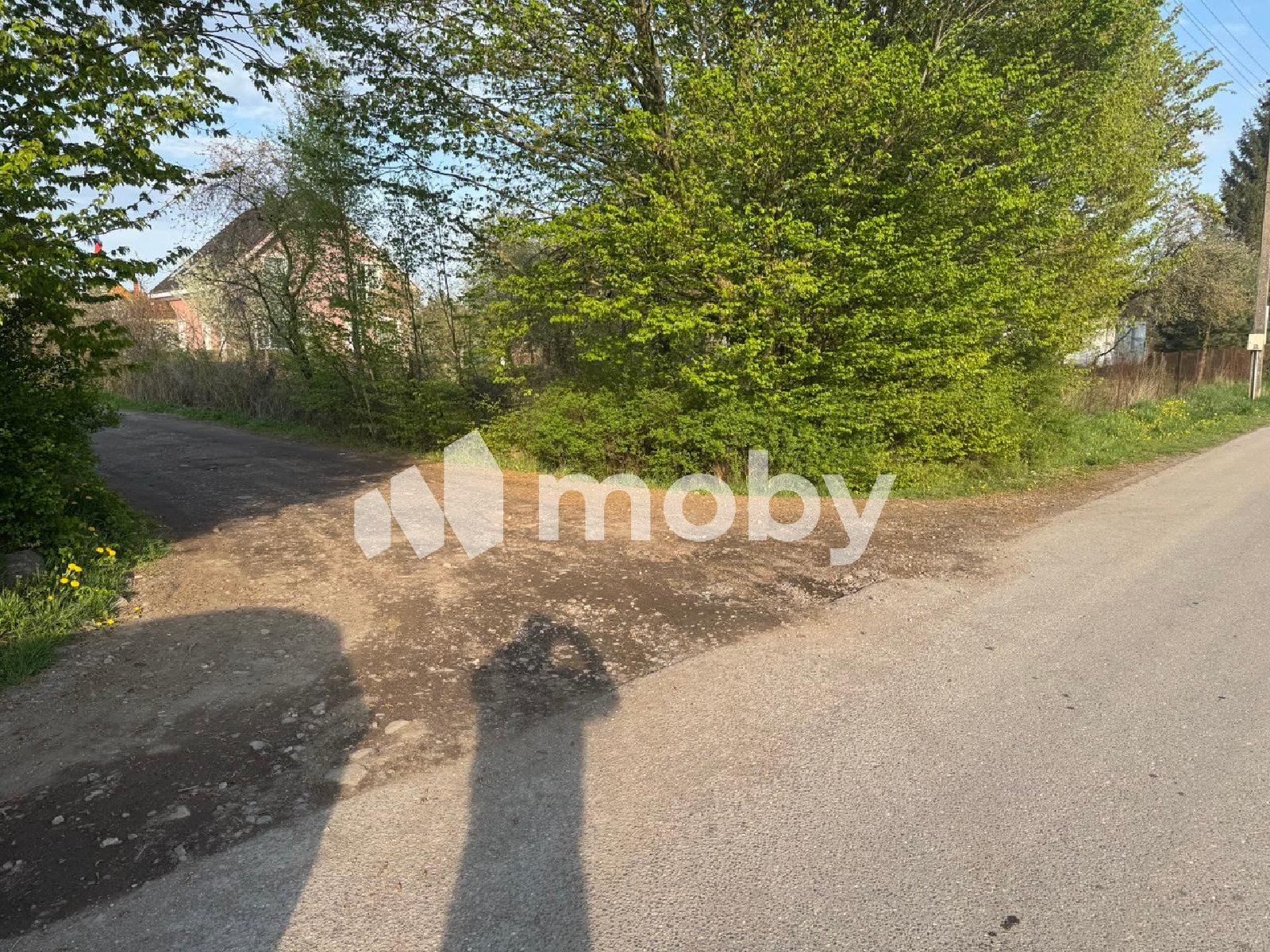 Фото: ad63bbfd-9701-47b6-8d24-d36aecd3a4f0.png