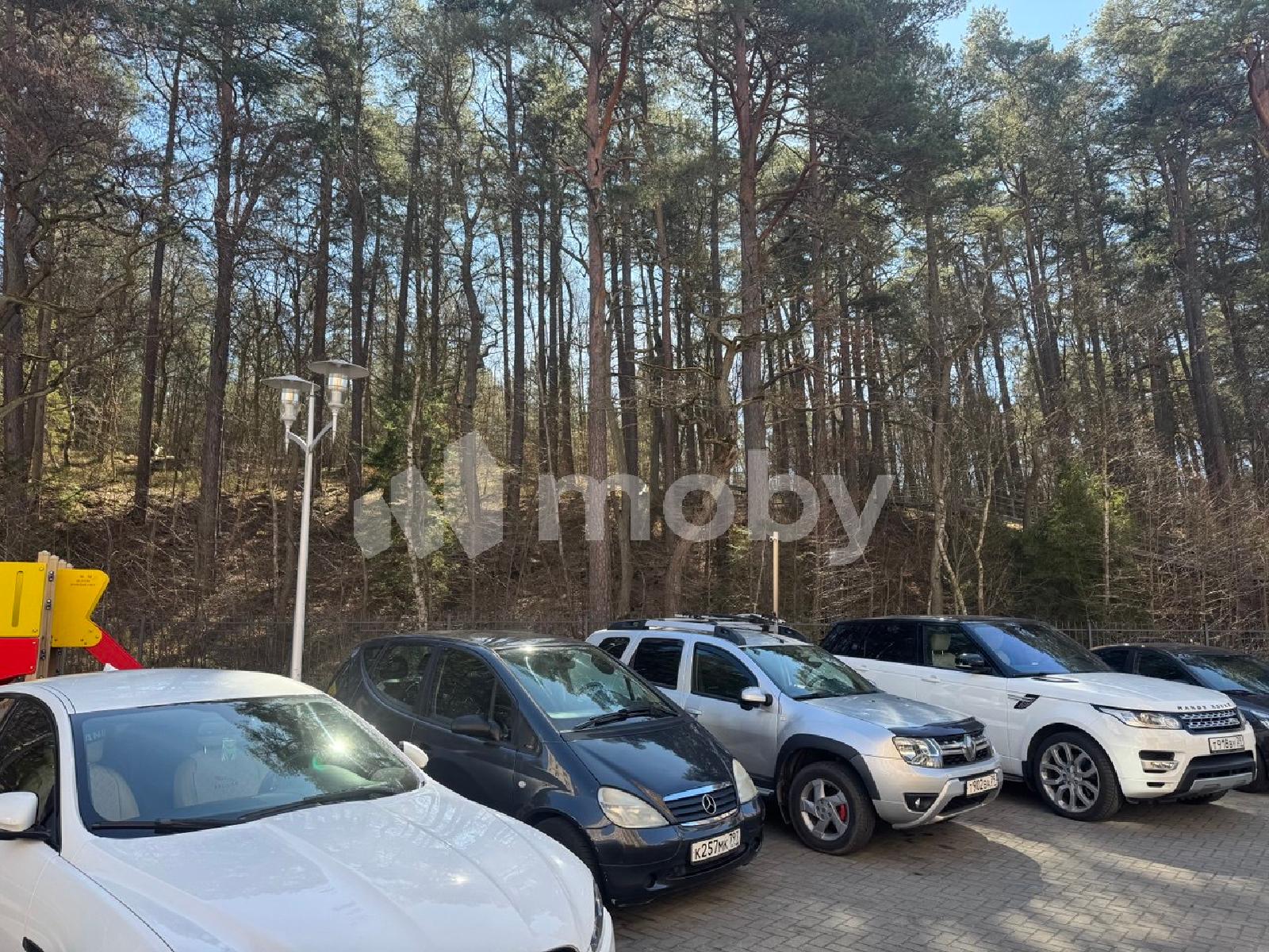 Фото: ad6e3cf5-04af-4816-adf5-dd009ad51183.jpg