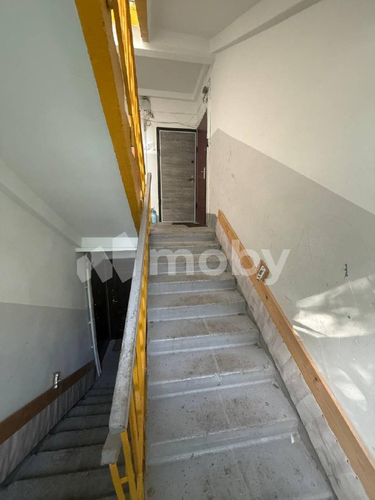Фото: ad9f30e6-6b57-46f3-8791-8cdd2a12d26f.jpg