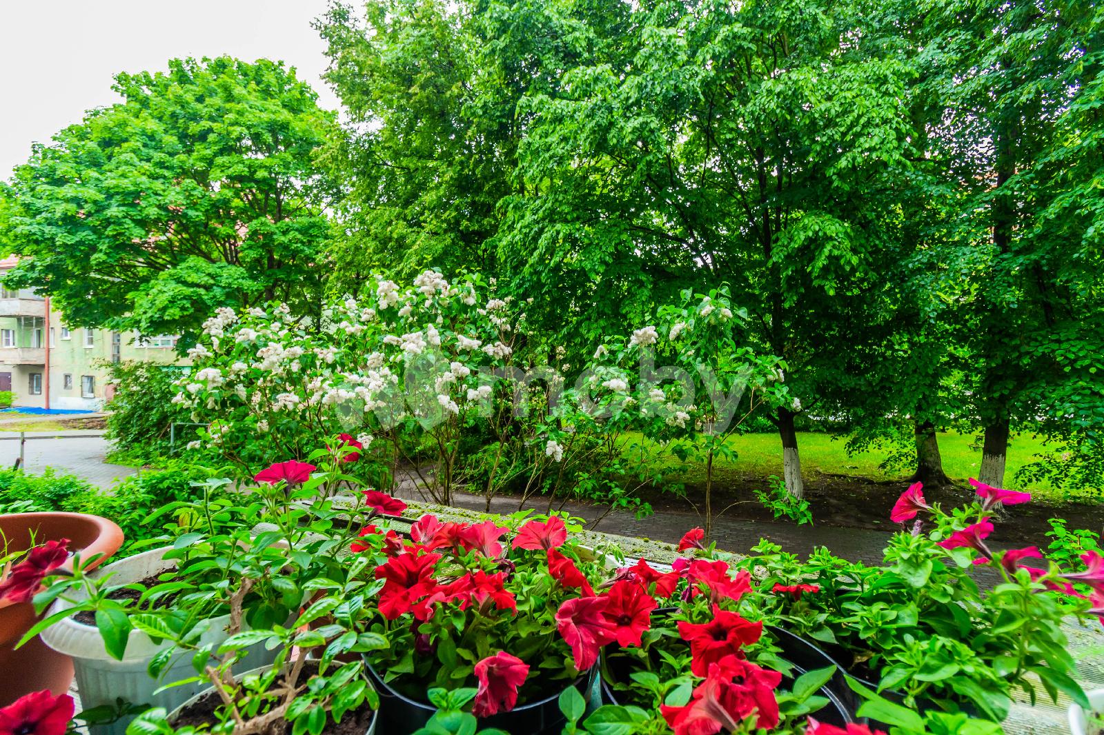Фото: ada5d055-c5d3-48e6-a797-529a9cadc002.jpg