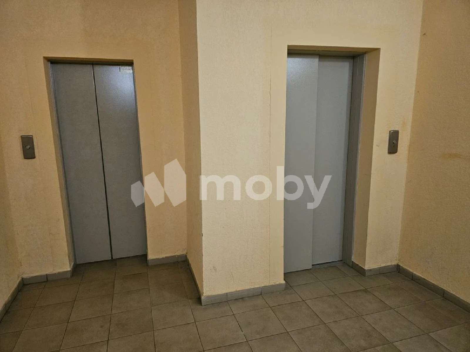 Фото: adfcd70d-b5f7-4bb4-b411-bedbbc206eef.png