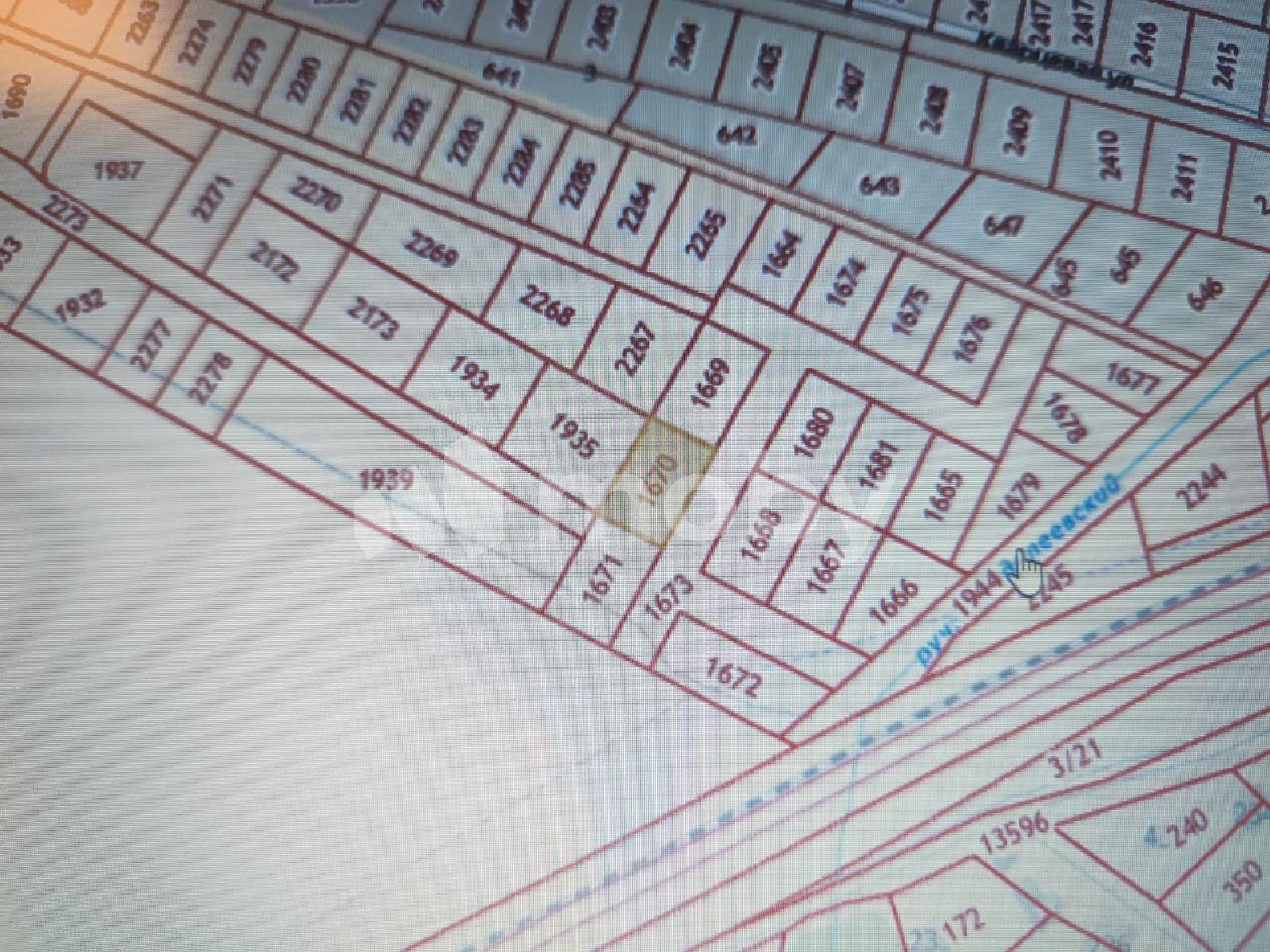 Фото: ae10fb7d-bf0f-4ac1-ab7a-619da8db946b.jpeg