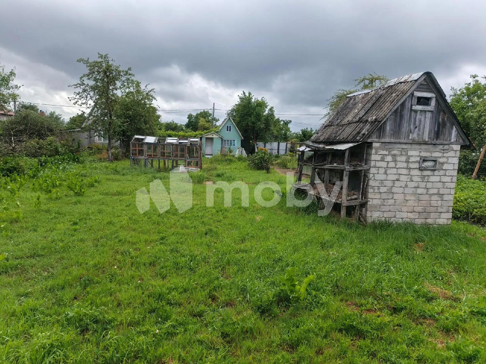 Фото: aea8d536-40d0-4434-97af-78f60c55f588.jpg