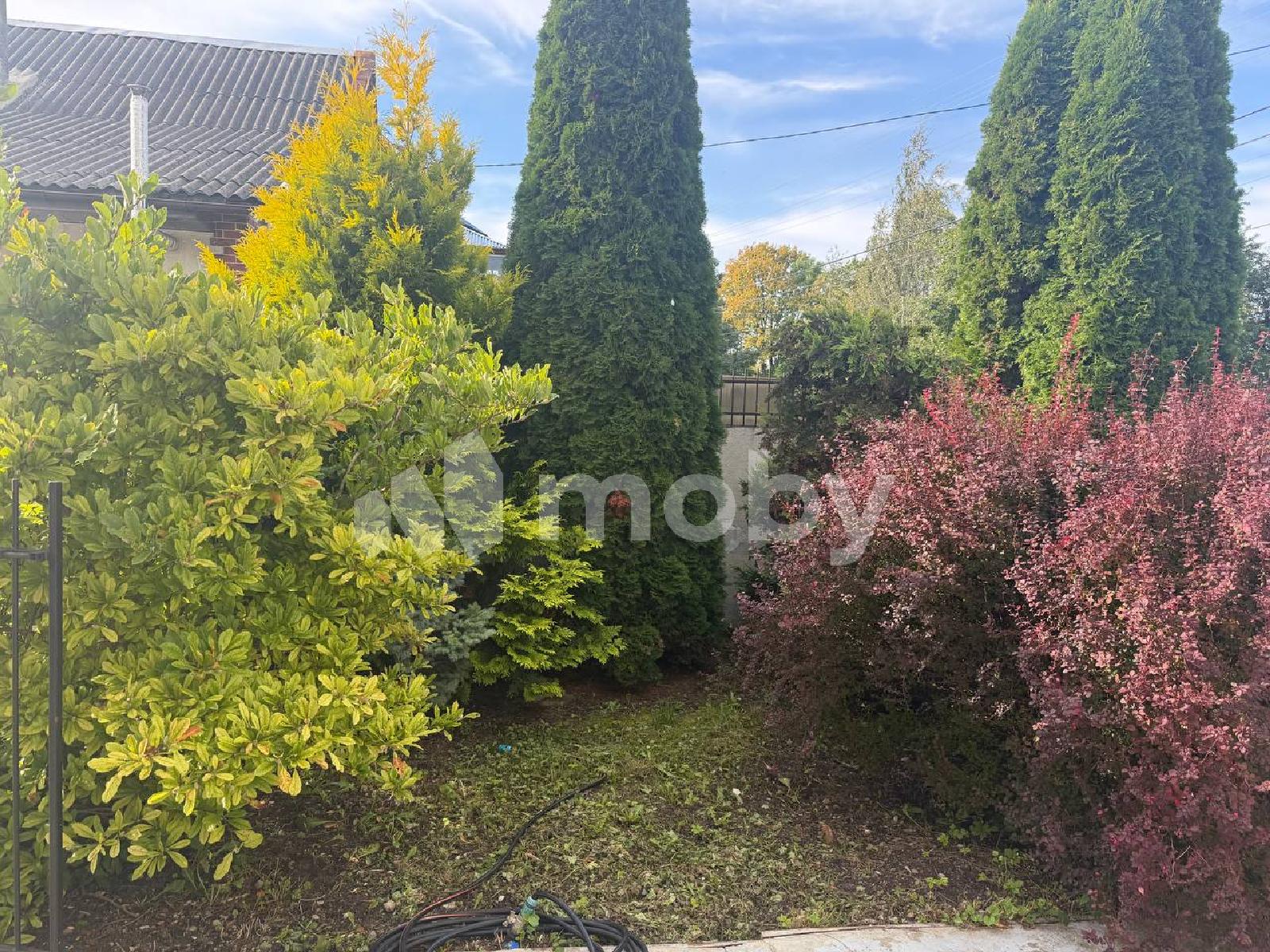Фото: aec7d317-2e25-45ac-9043-1f712127cc8b.jpg