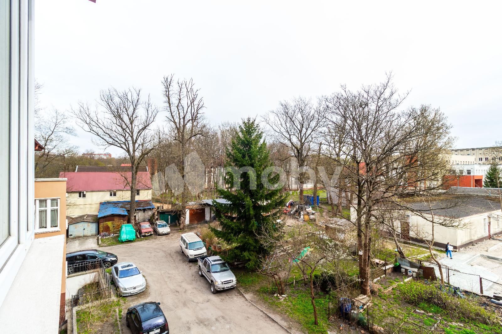 Фото: aed7434a-d8a2-4698-9465-56556bc1ccfe.jpg