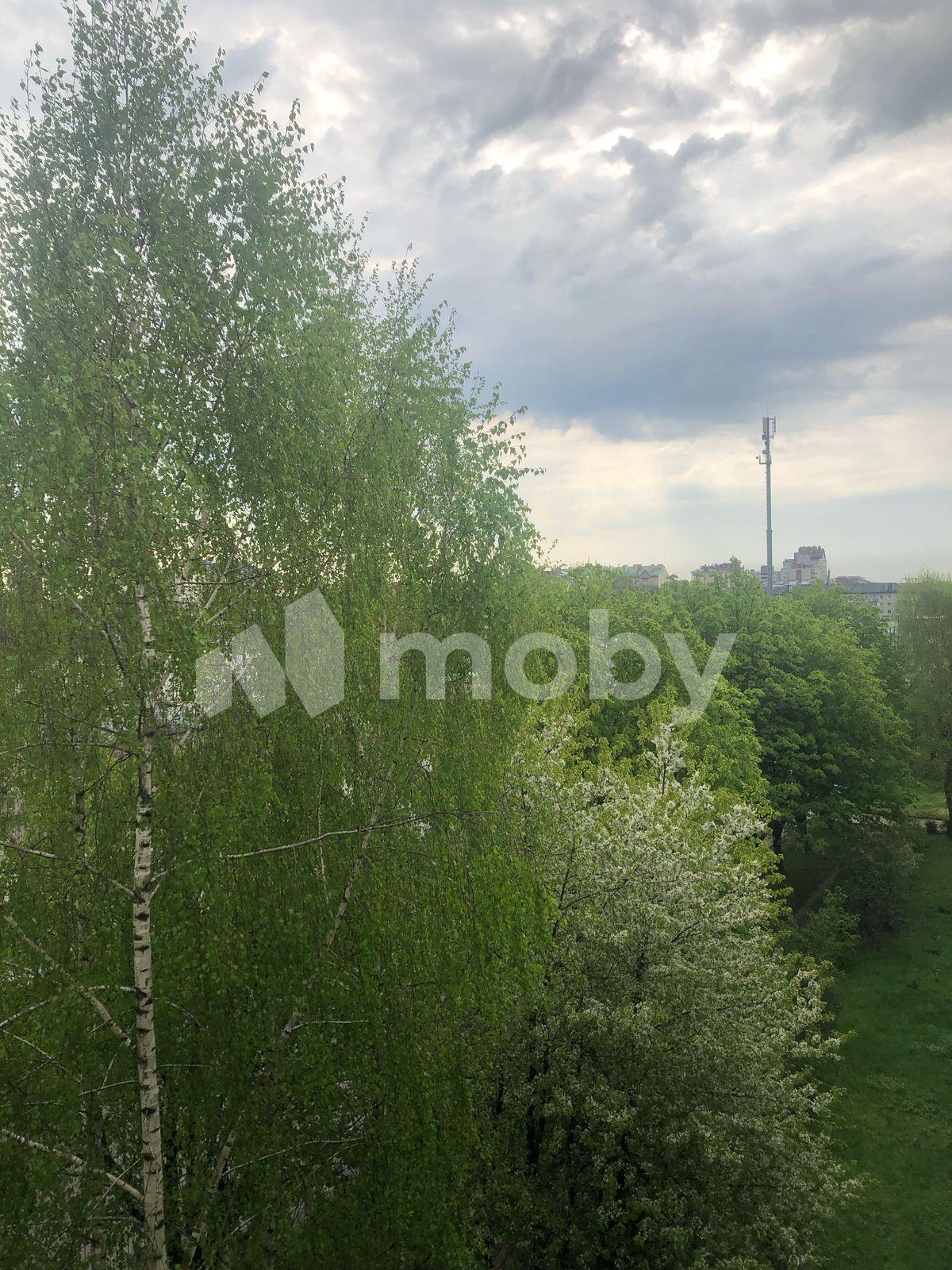 Фото: af2a52b9-e514-4070-b420-c21a71d276ac.jpg