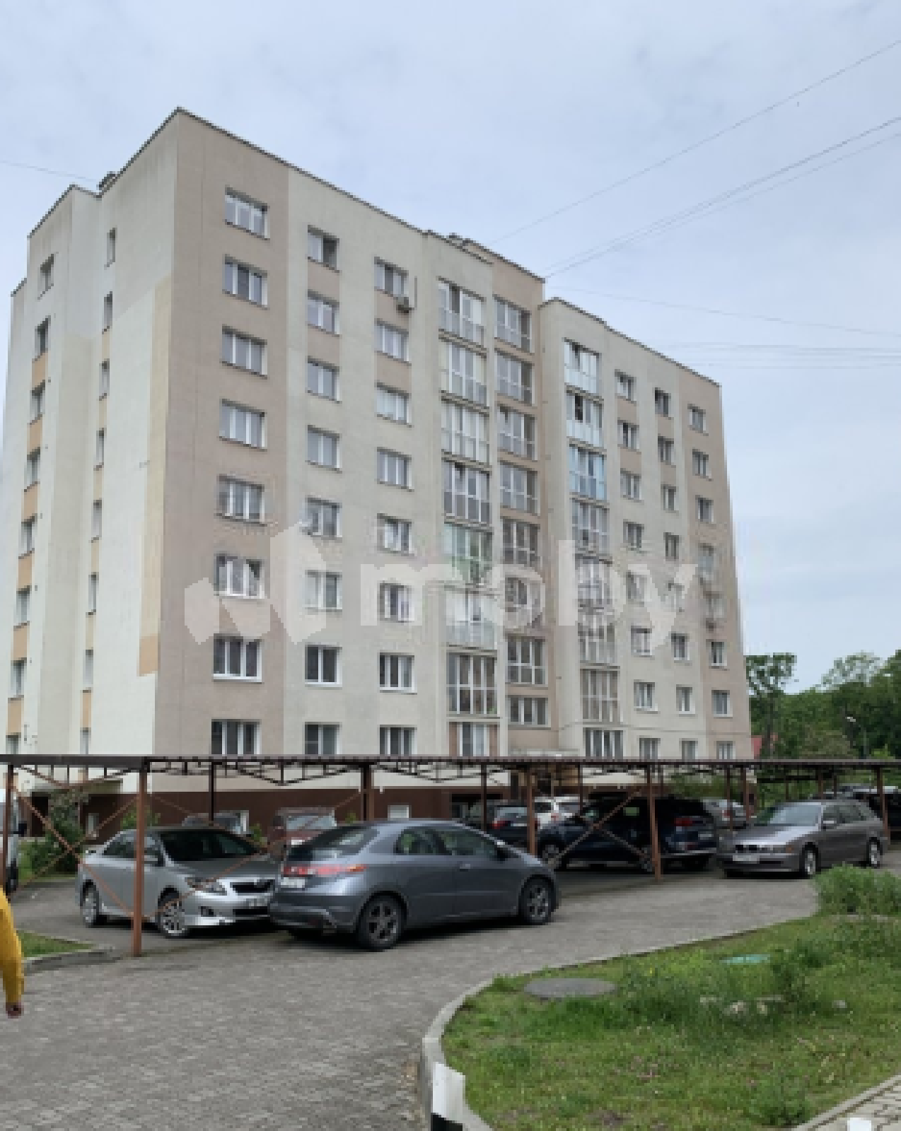 Фото: b007018a-5634-4479-a7fc-41851caa2b06.png