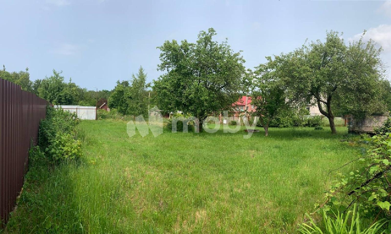 Фото: b0224c14-579b-4688-a64a-a939bb1bb558.jpg