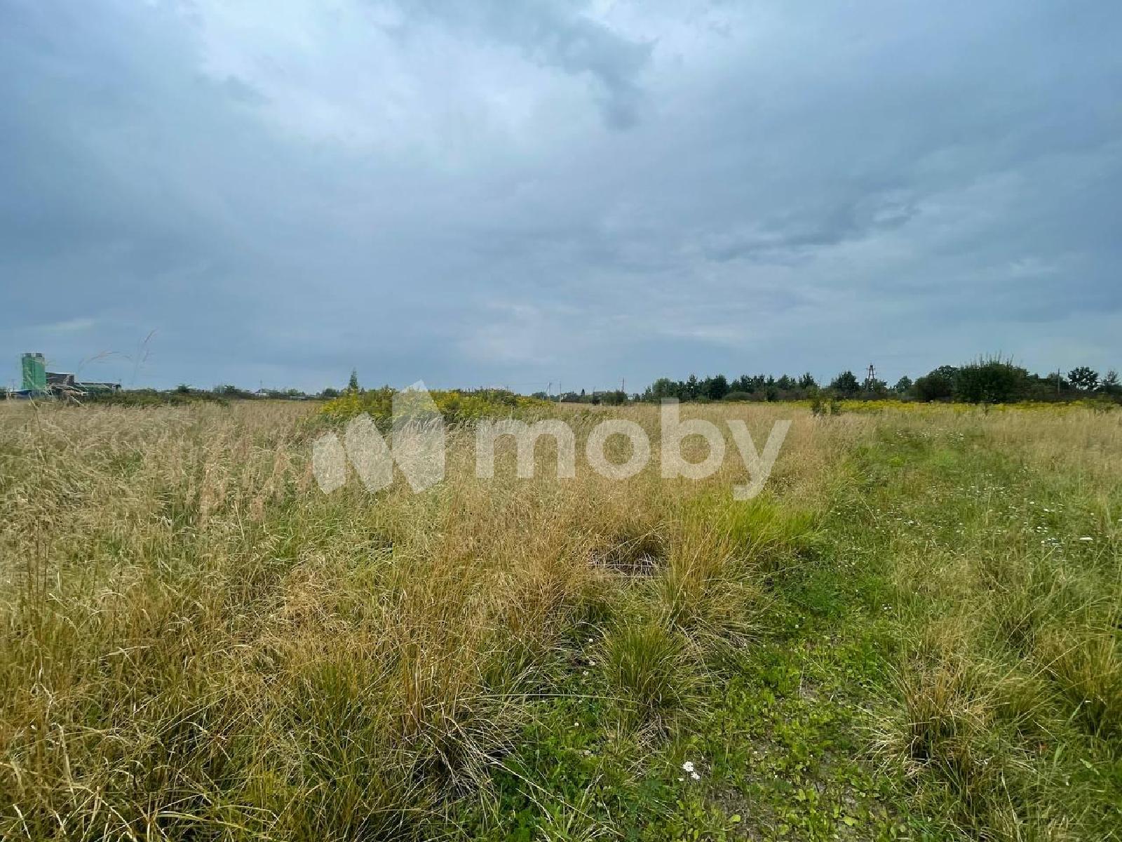 Фото: b02f70c0-12ab-4f0a-b353-ecffca2bee87.jpeg
