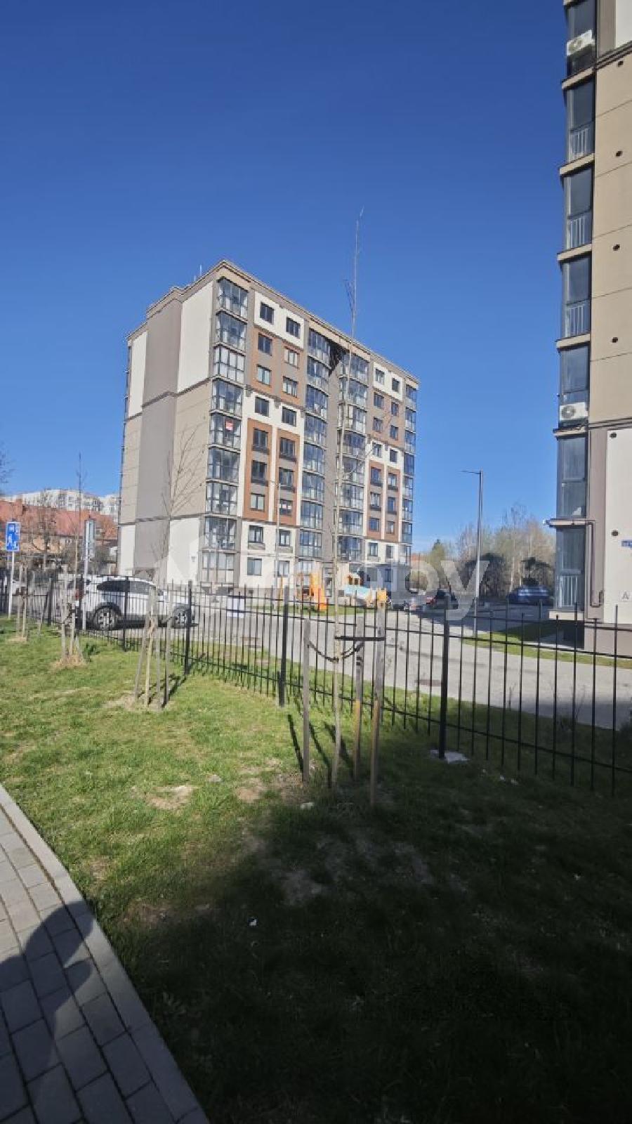 Фото: b0ced404-b193-4dcd-954e-e1a4f9b9ed11.jpg