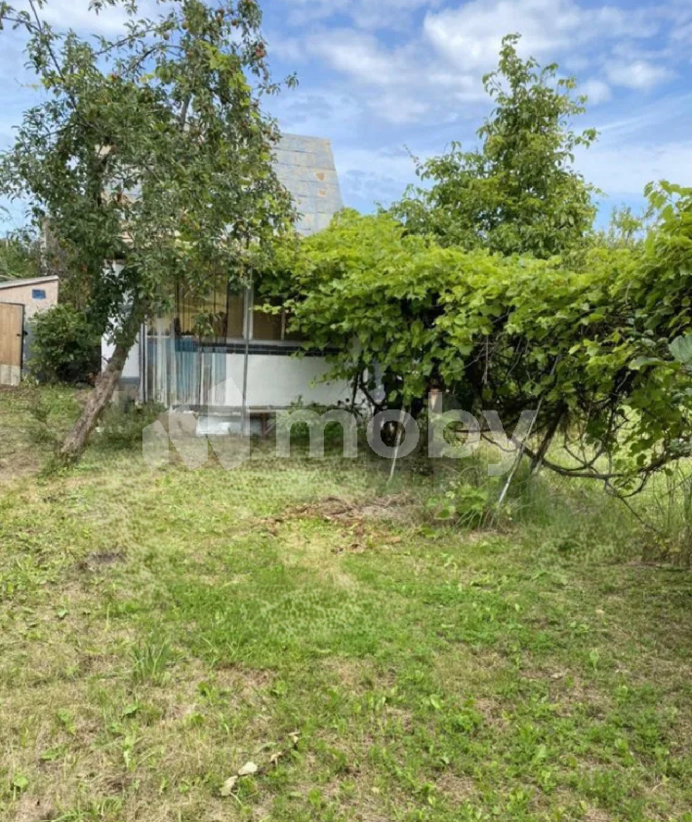 Фото: b144172c-8ffb-4551-a1b7-c3086dca0220.png