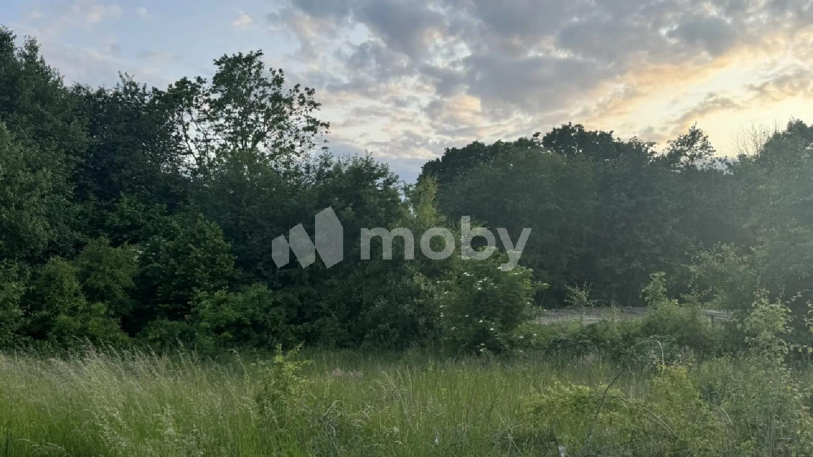 Фото: b252681e-f176-43ad-93fb-8a4557afe079.jpg