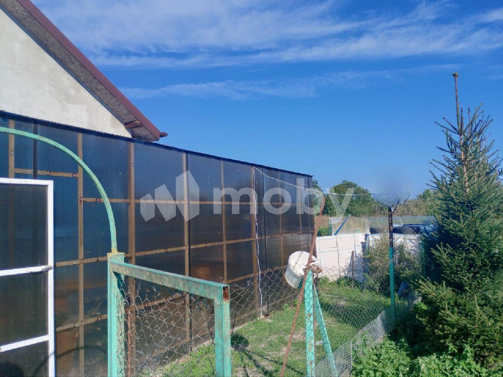 Фото: b38ee7c8-5537-416b-9052-fc55425a4e58.jpg