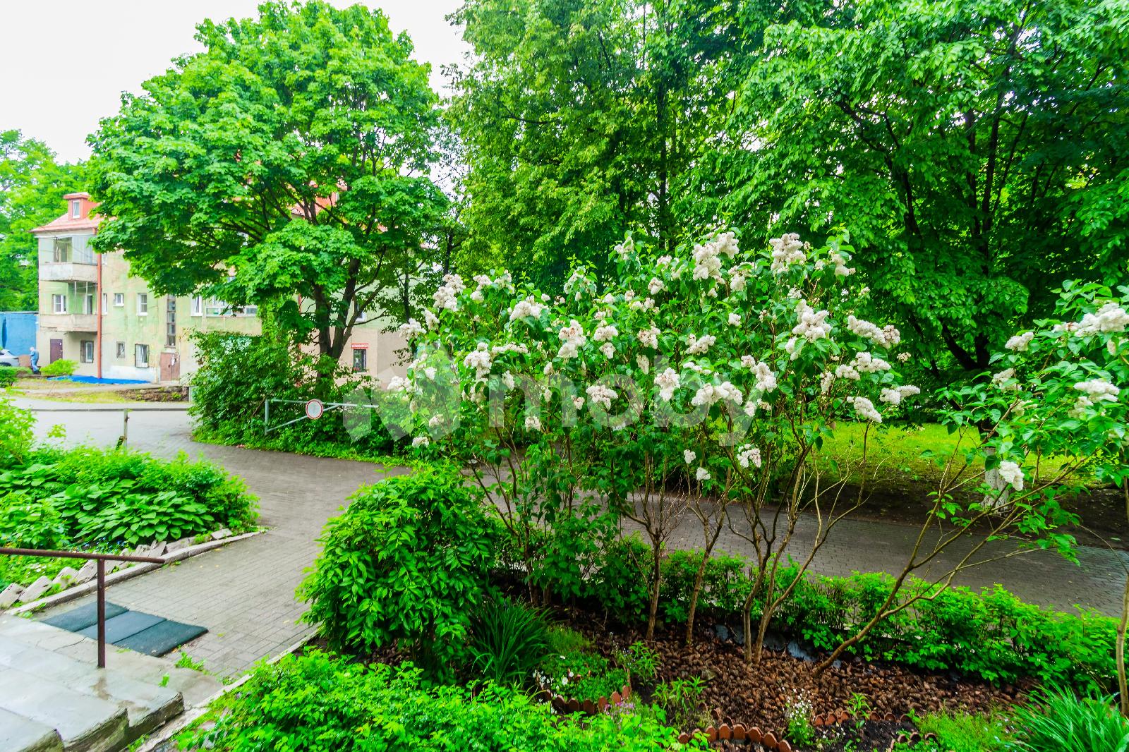 Фото: b39a33c4-ce09-4490-a8bf-bbb0285f3f22.jpg
