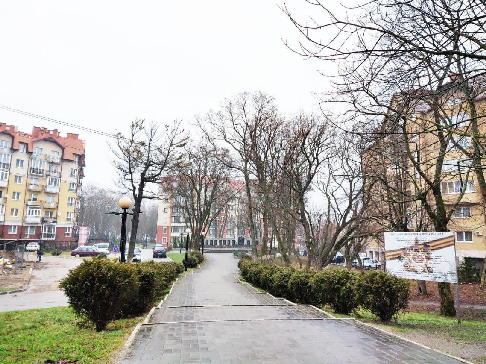 Фото: b3b79a86-db98-488a-8684-9c5167ba3084.jpg