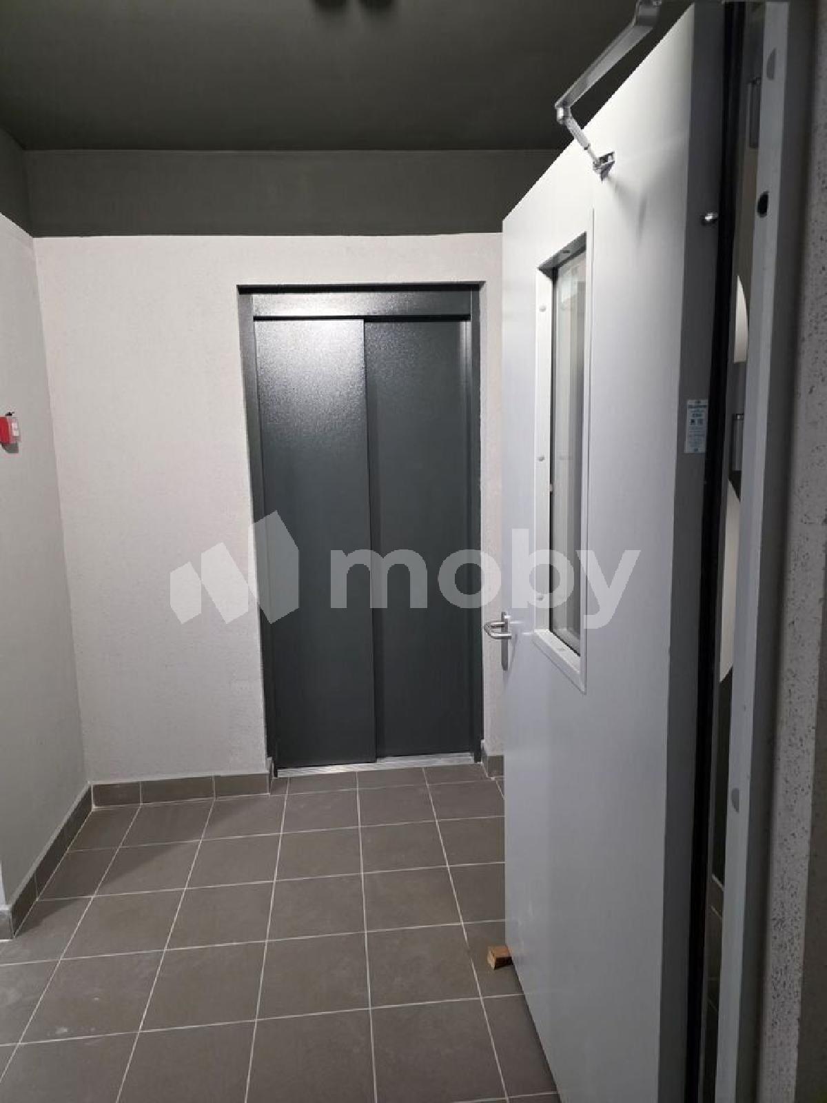Фото: b405a9b1-9d9d-443e-a895-b76d9ede0fdf.jpg