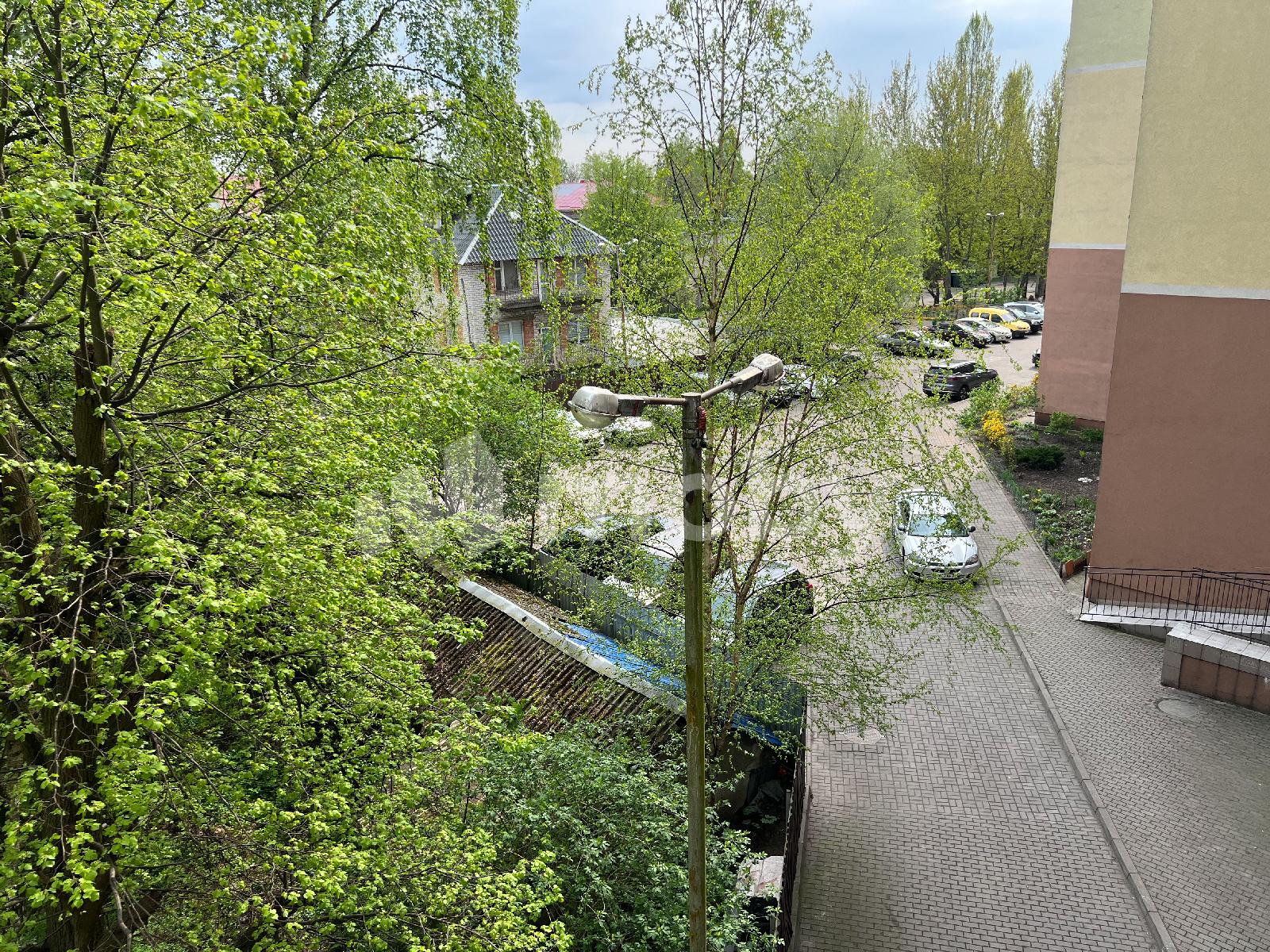 Фото: b46bfe31-4d59-47ae-b44c-b474f9a72926.JPG