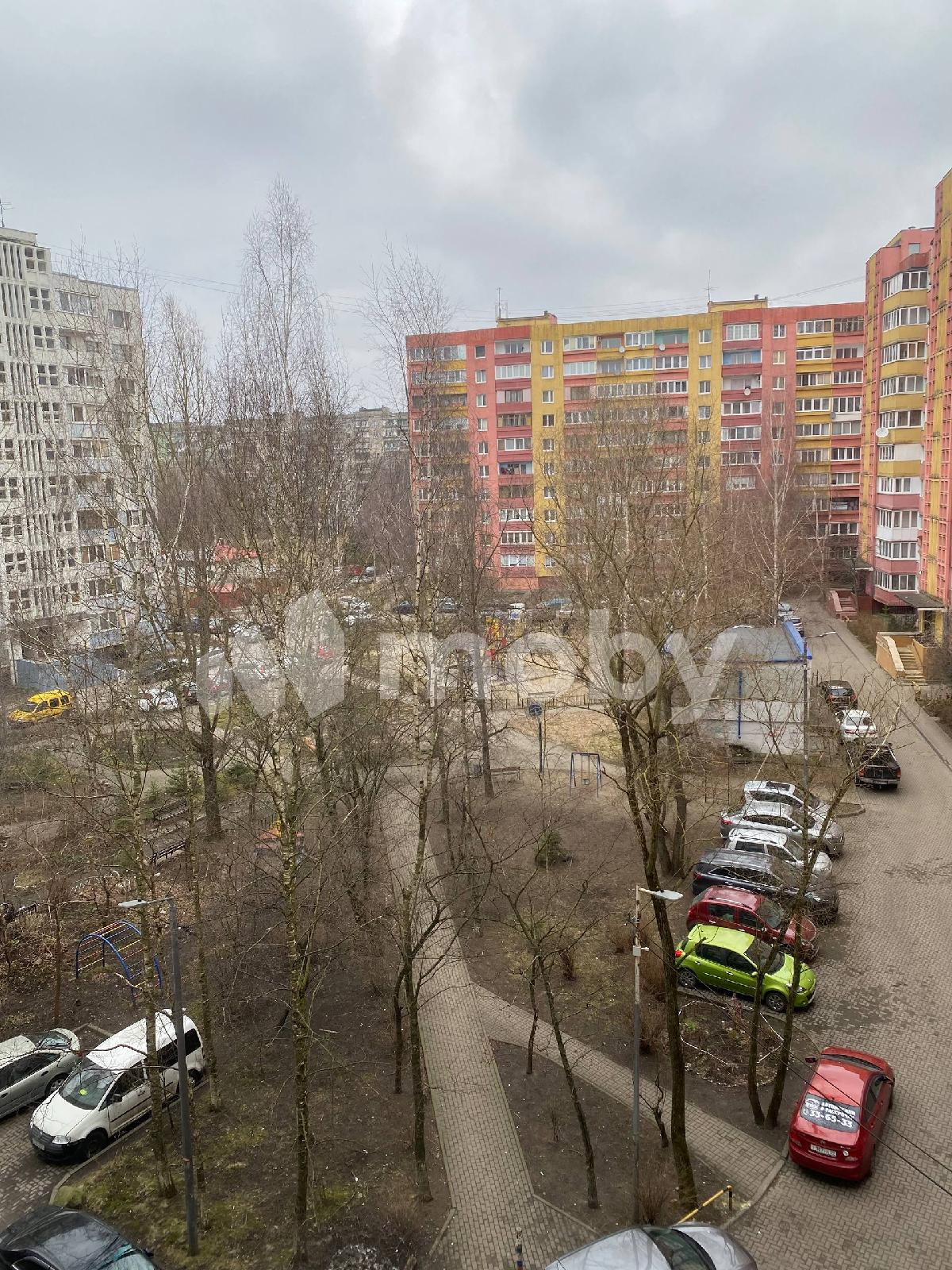 Фото: b491f06d-bfd6-42ea-a928-6532dc7f5a6a.jpg