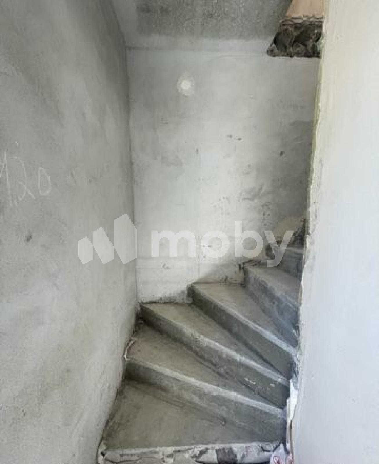 Фото: b49696dd-9495-494d-a6c6-77683278423a.jpg