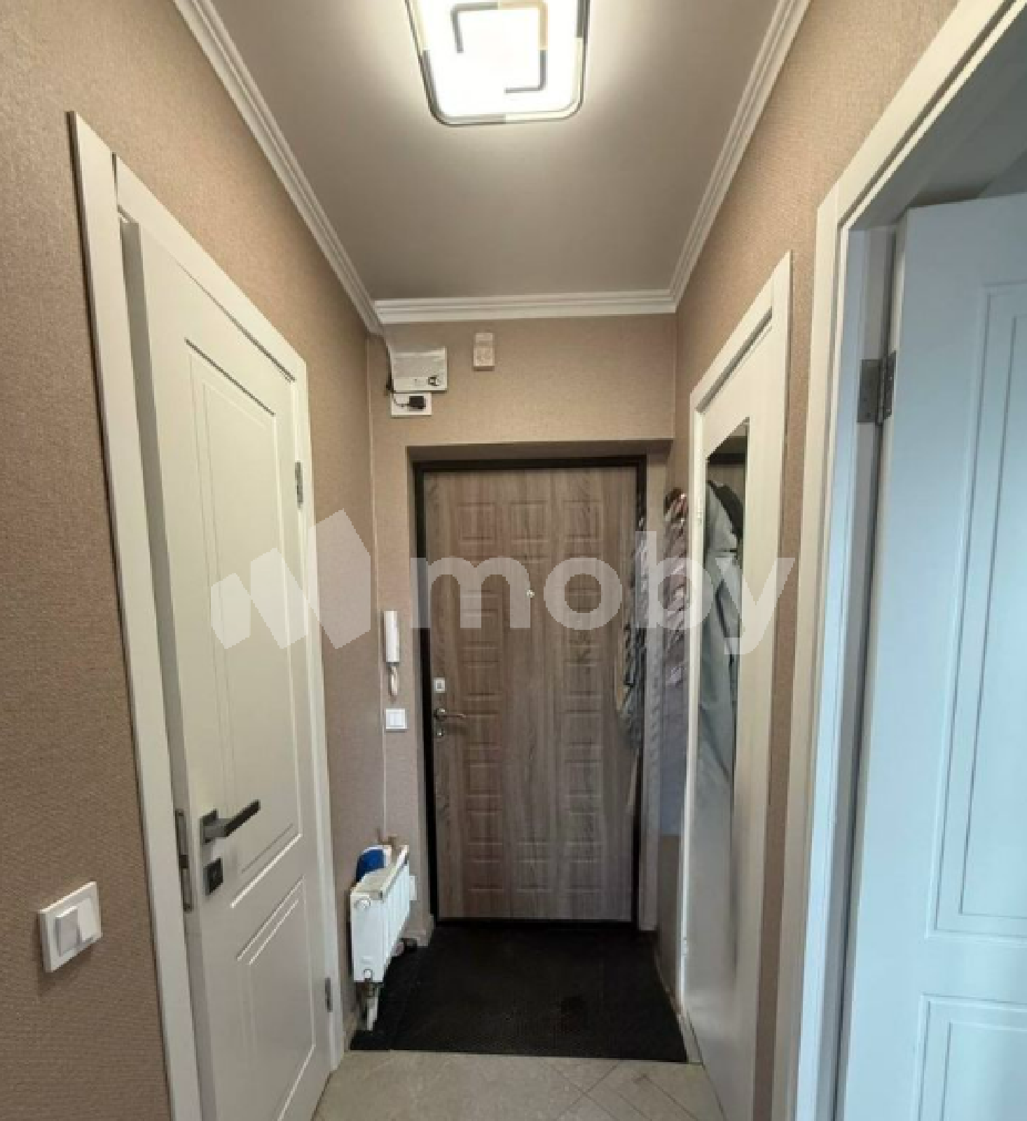 Фото: b51eaa15-b511-4279-9f32-45fe1f8389c2.png