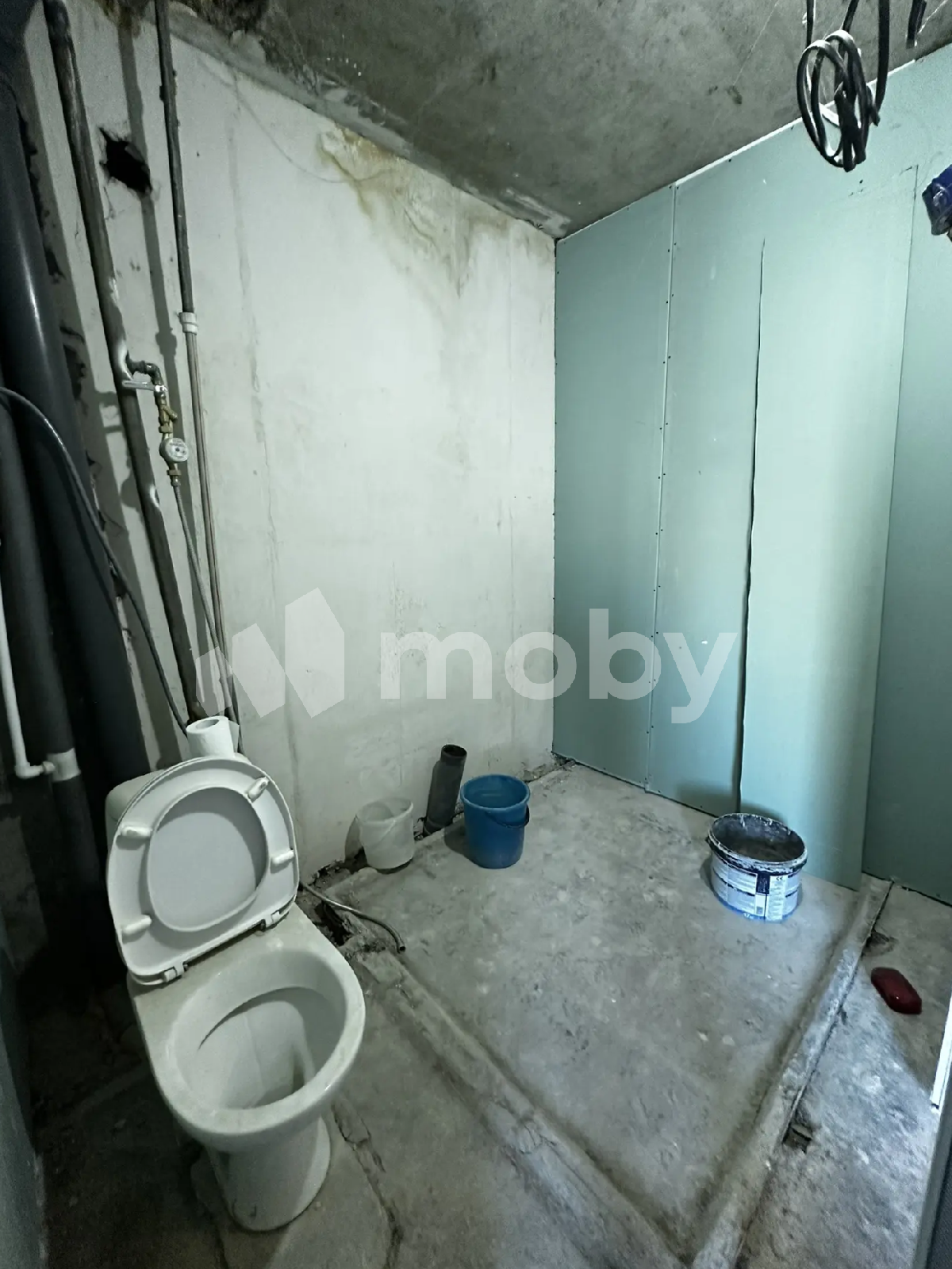 Фото: b55dc397-a32e-4941-8bcd-e7ad980de673.png