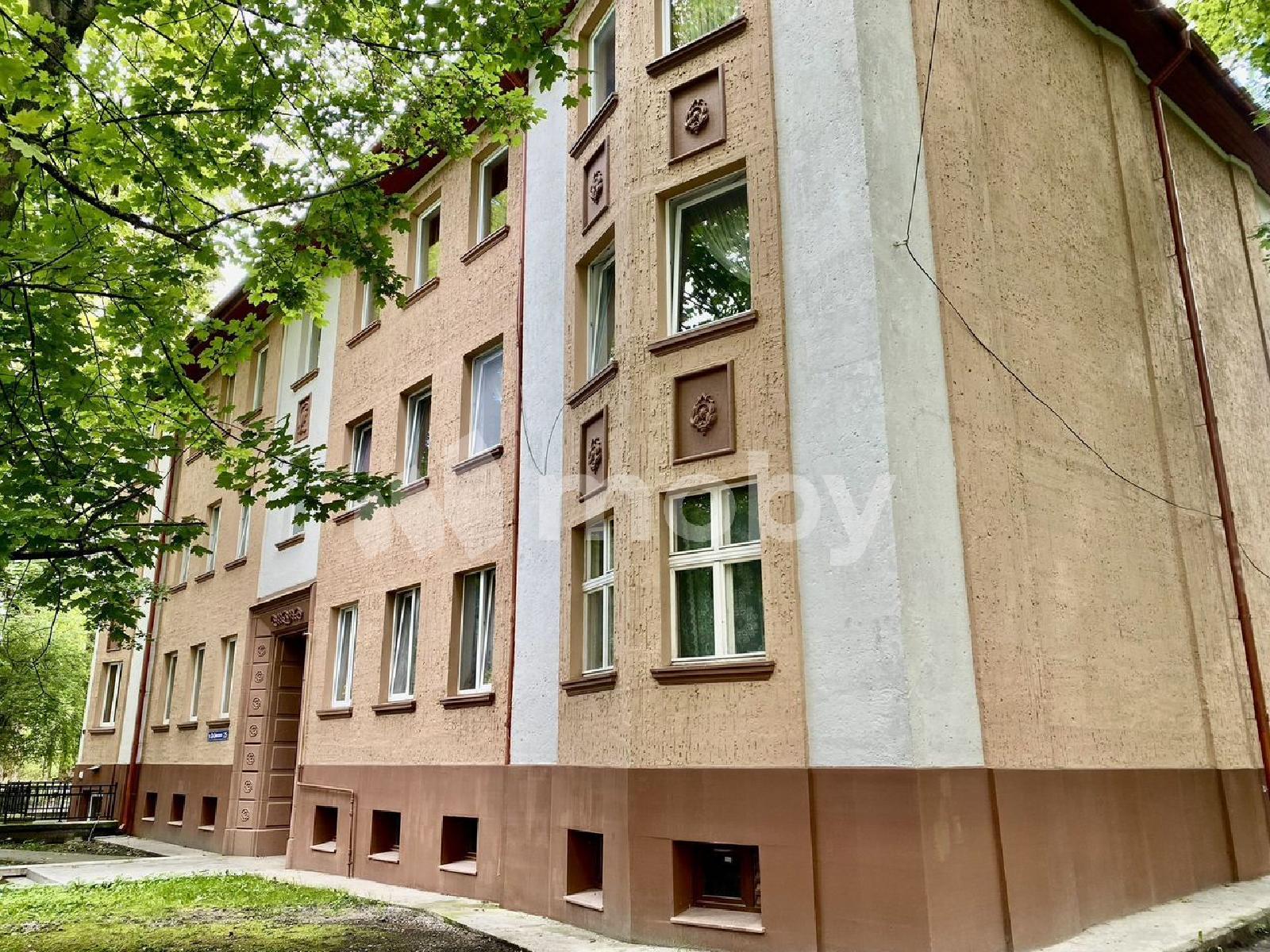 Фото: b588e884-7e57-411f-b1ba-5ceacd2346b2.jpg