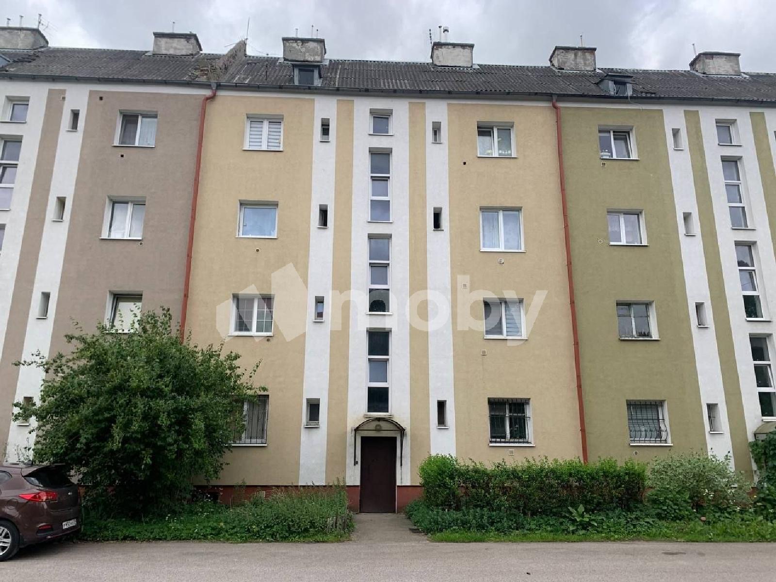 Фото: b661e7ae-02ea-41cc-aa7f-7995fd6b7ceb.jpg