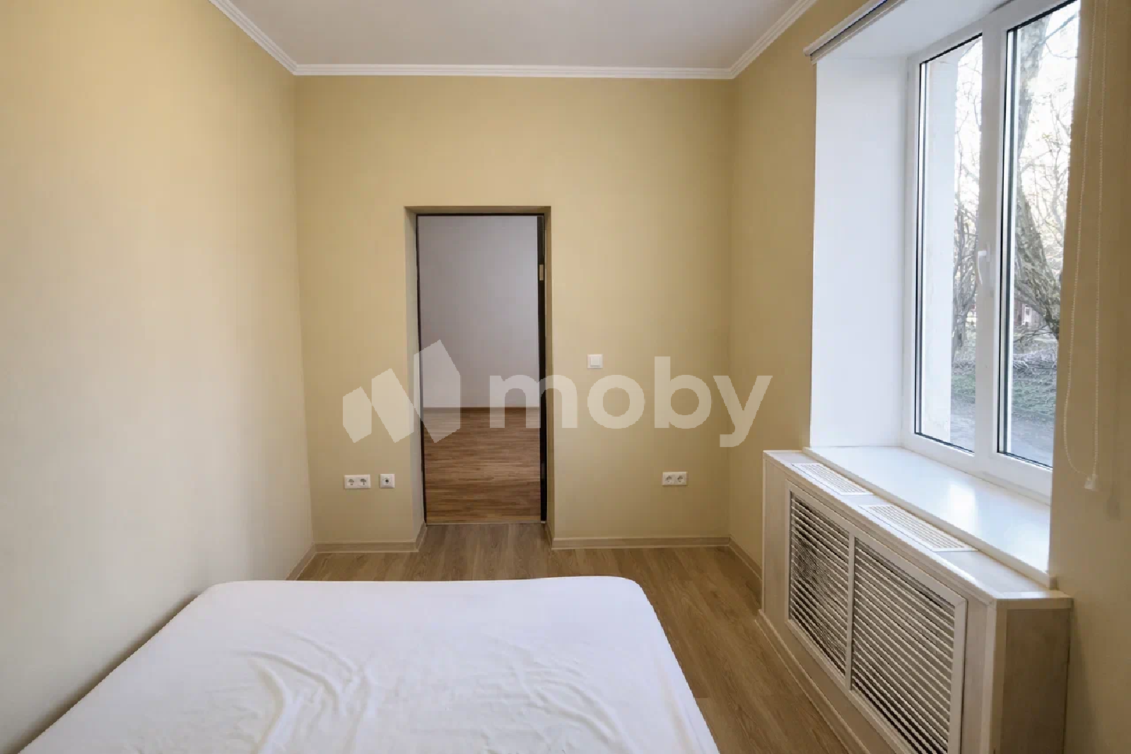 Фото: b71cefdc-1c0d-4f12-8f4c-2cd44872e31b.png